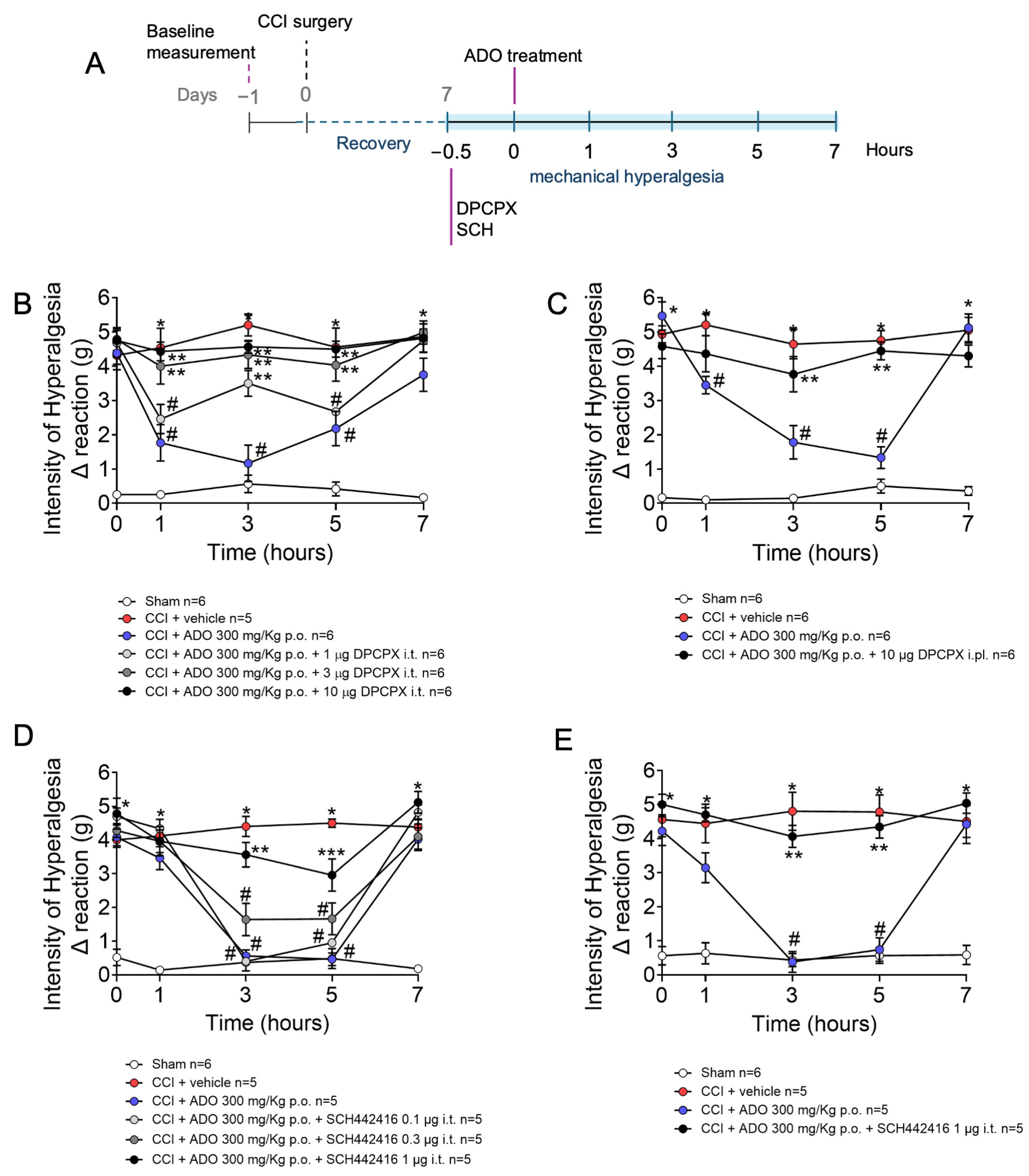 Pharmaceuticals 18 00660 g004