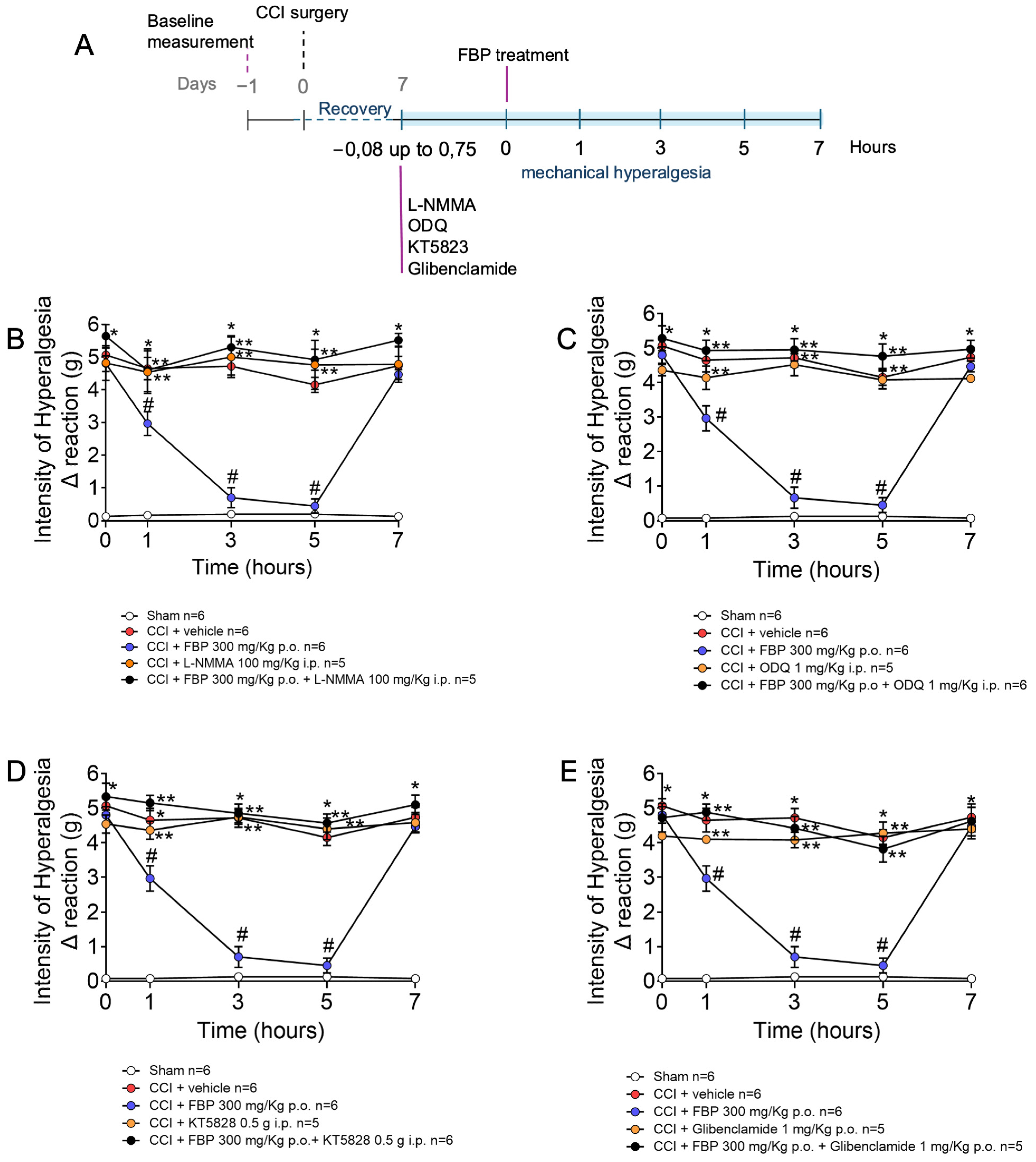 Pharmaceuticals 18 00660 g005