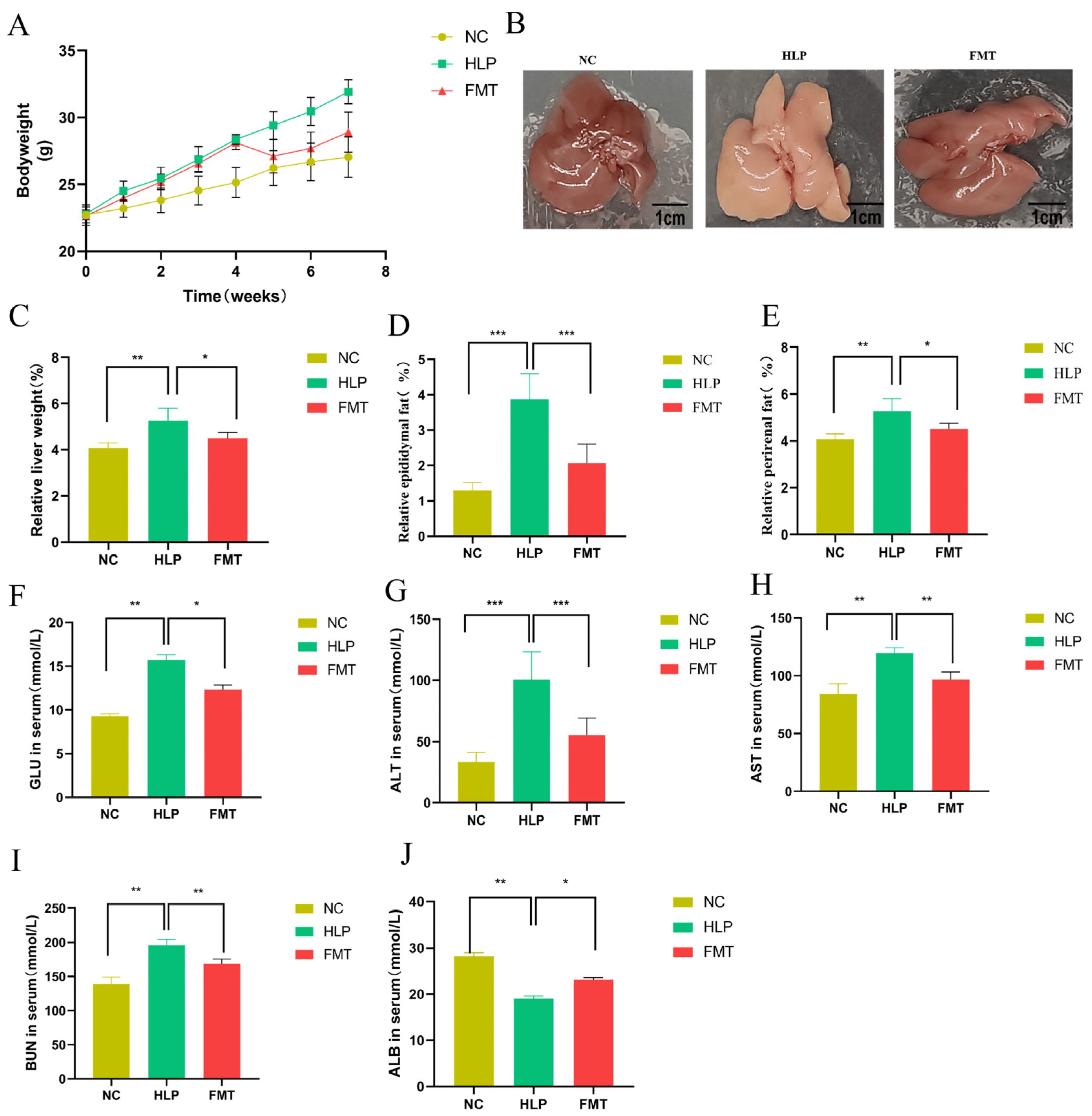 Pharmaceuticals 18 00661 g001