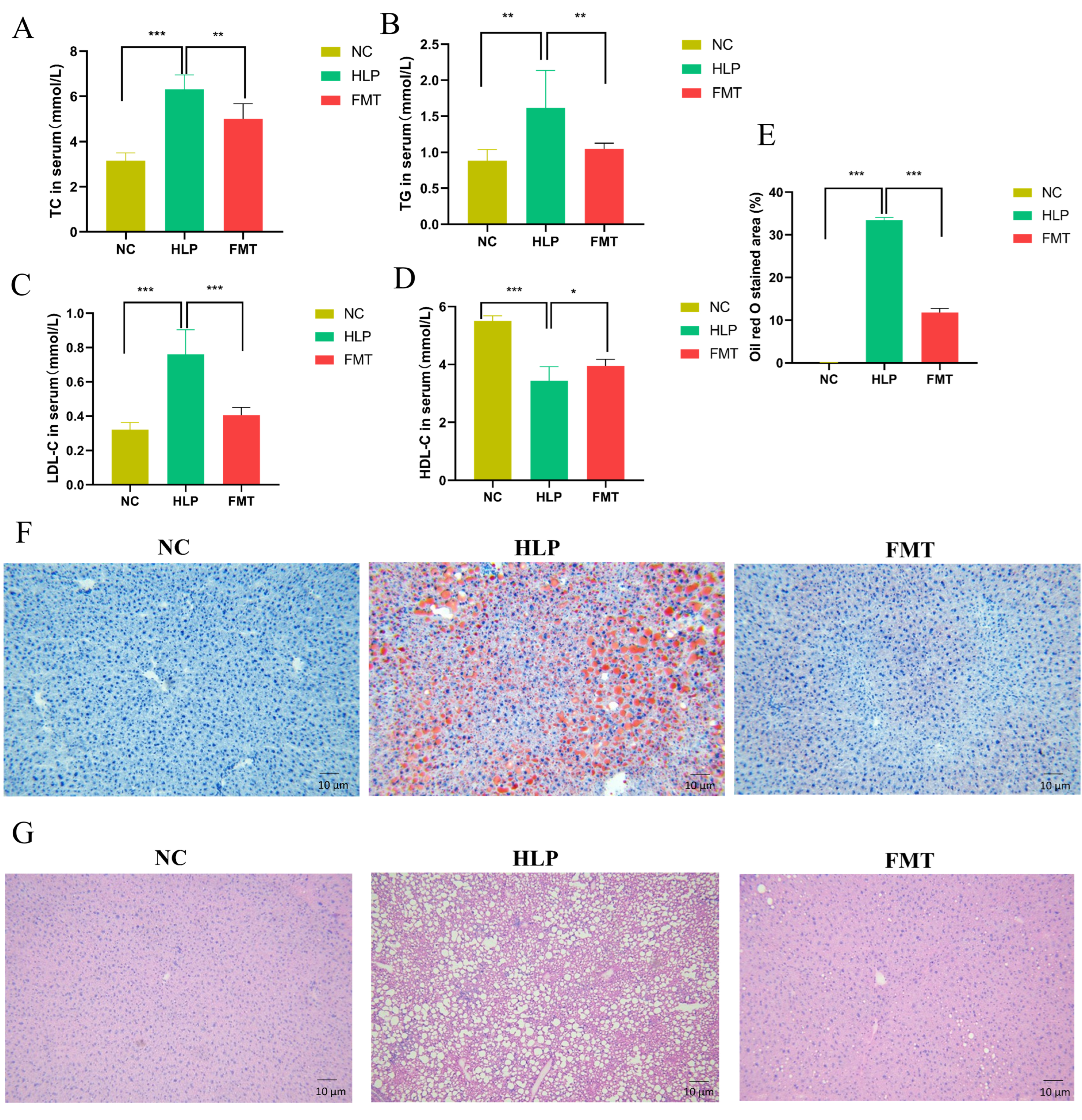 Pharmaceuticals 18 00661 g002