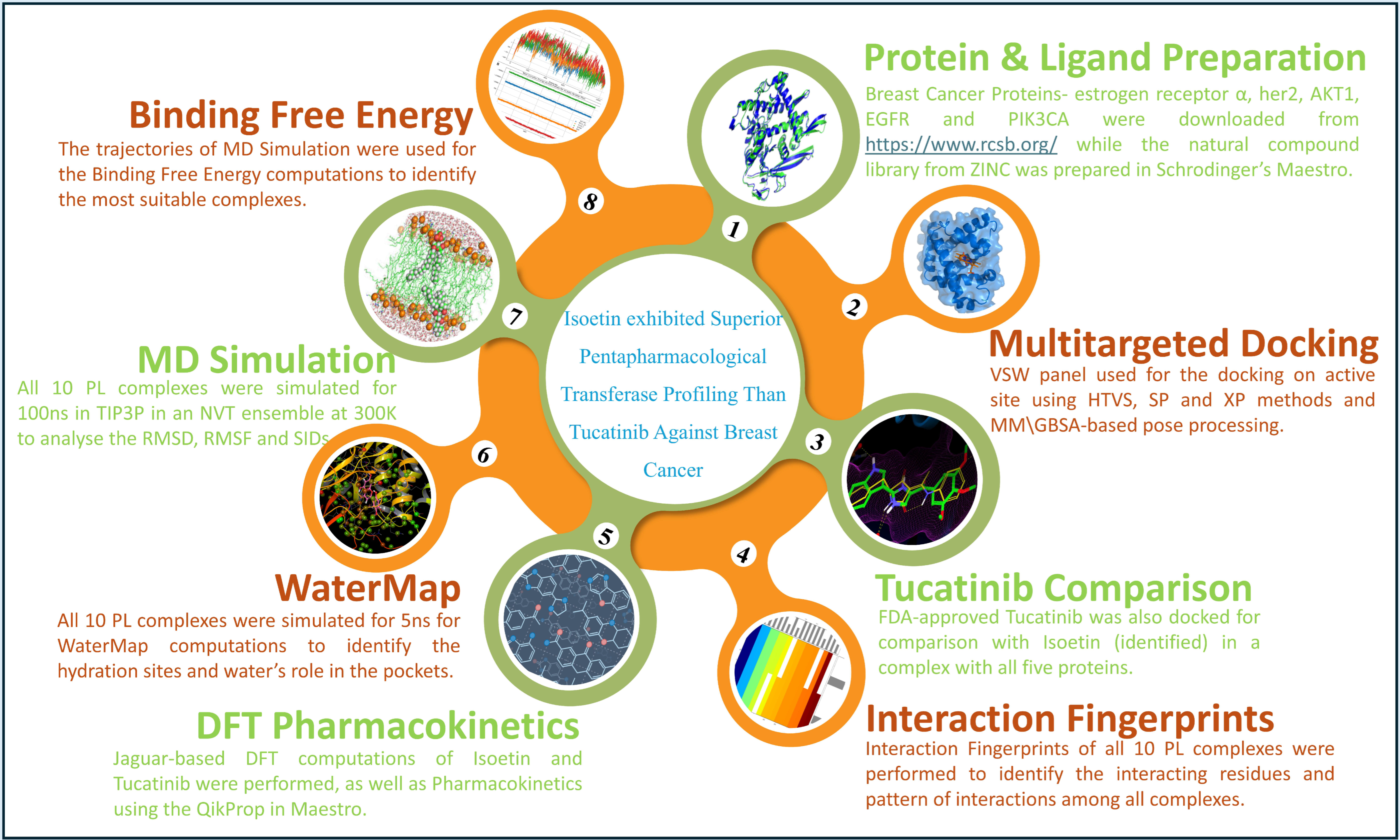 Pharmaceuticals 18 00662 g001