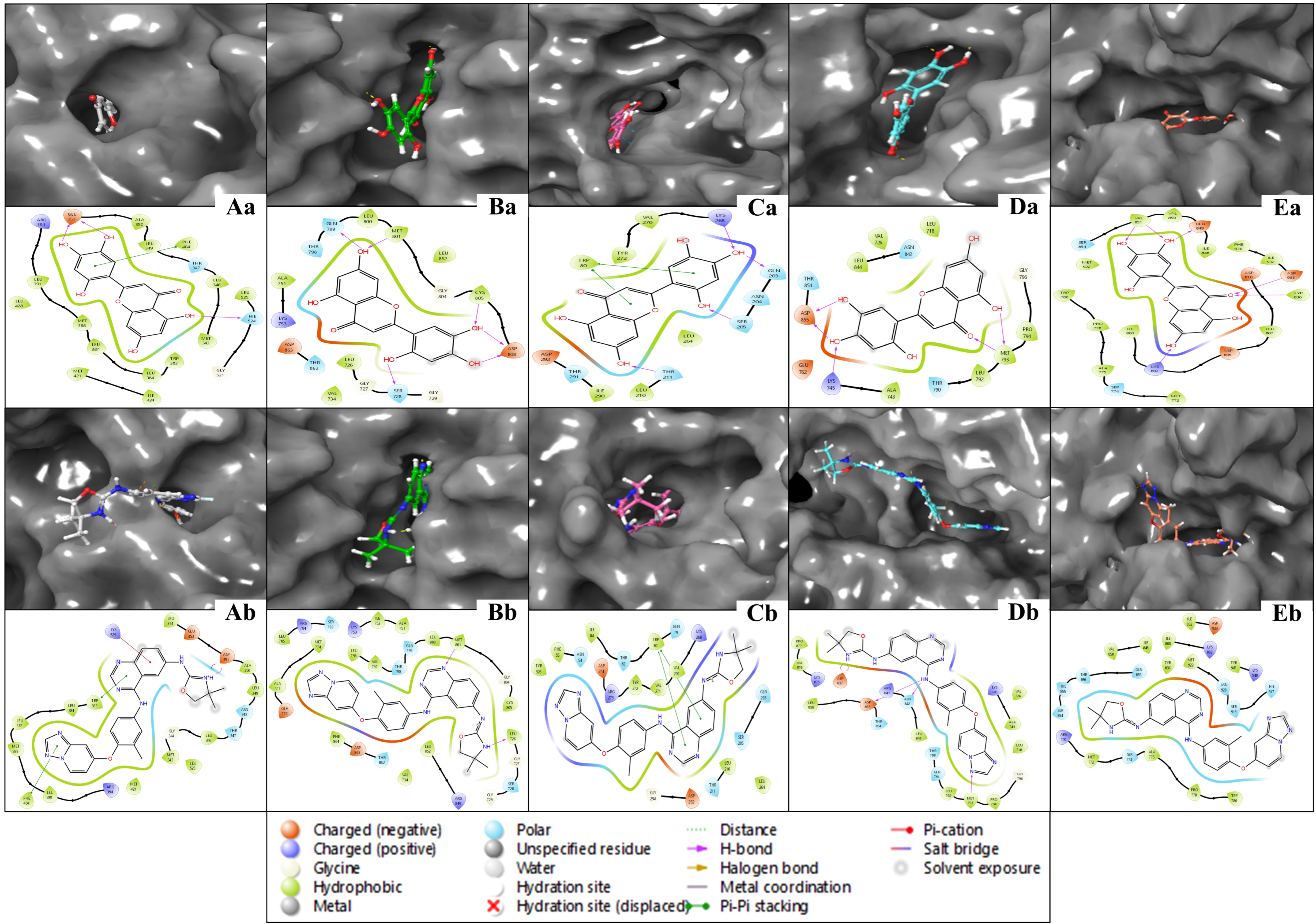 Pharmaceuticals 18 00662 g003
