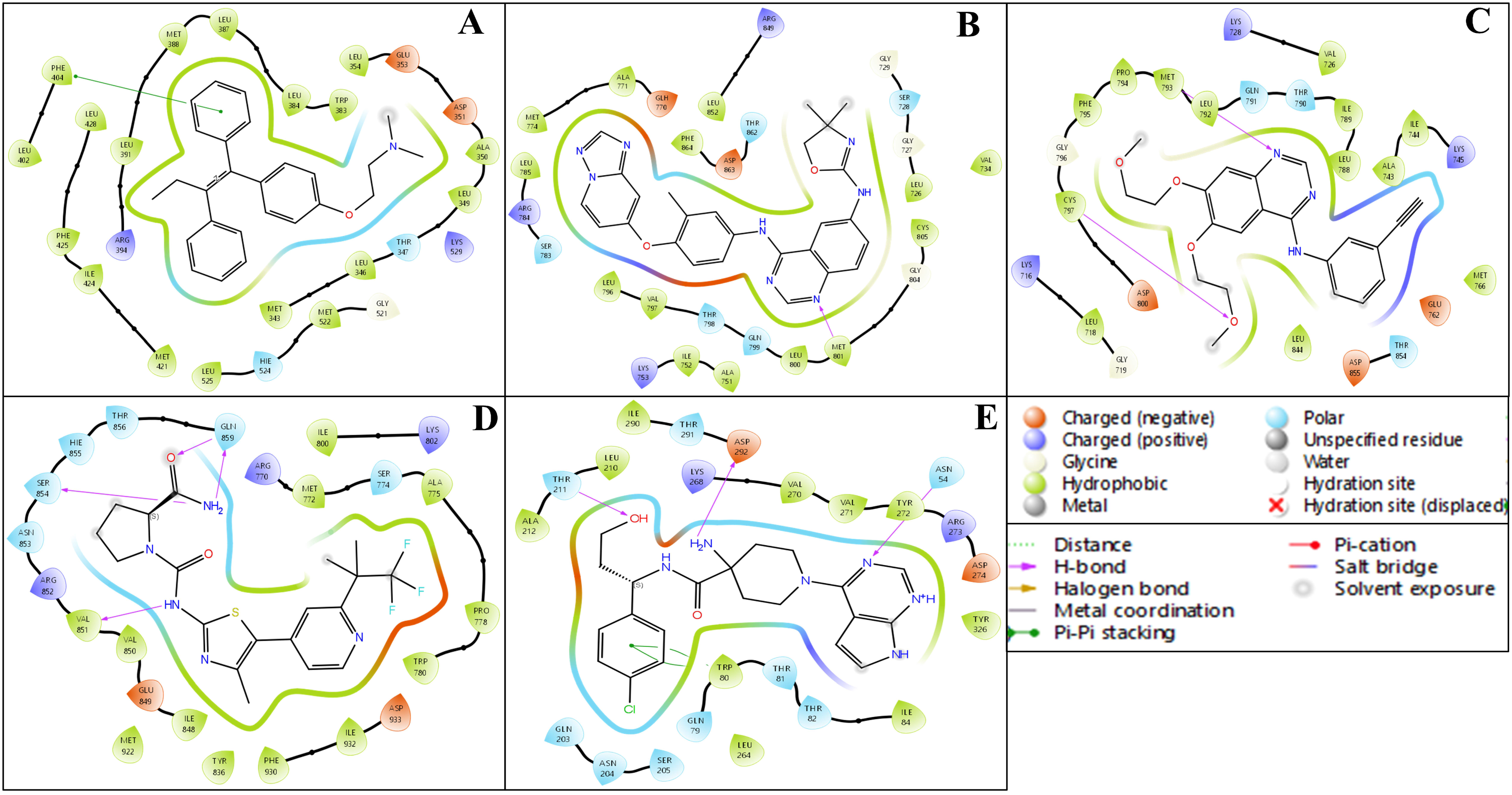 Pharmaceuticals 18 00662 g004