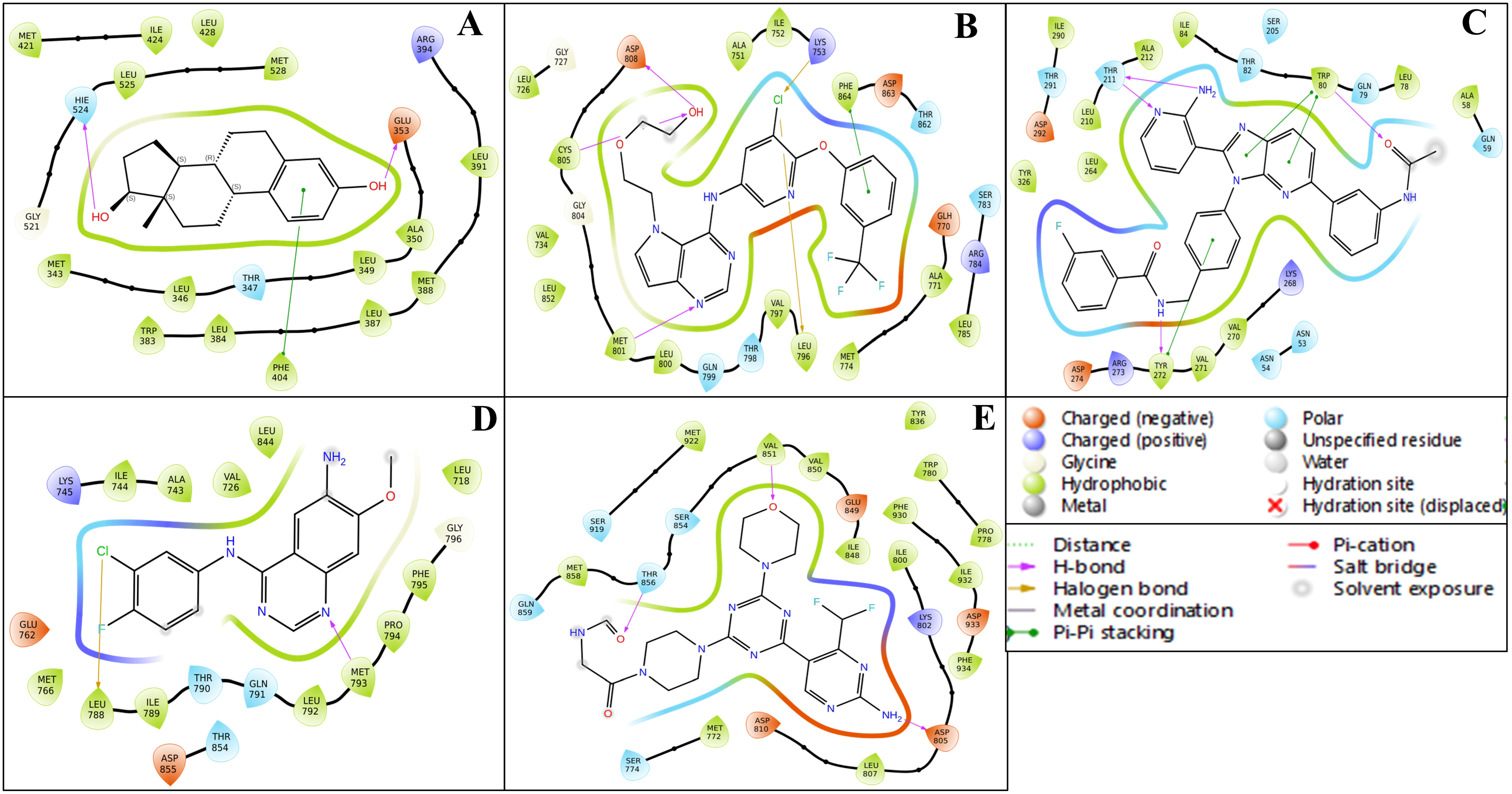 Pharmaceuticals 18 00662 g005
