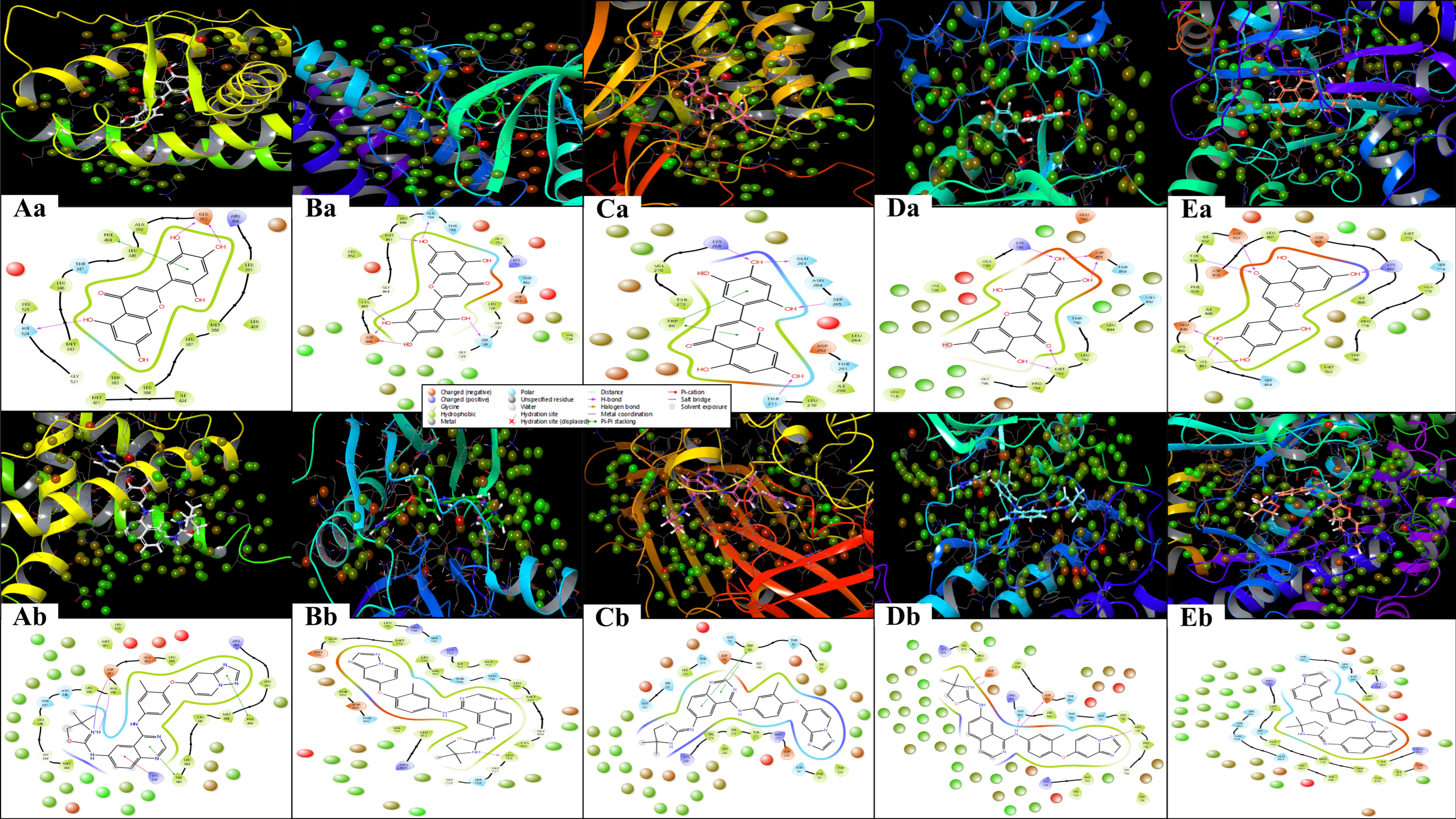Pharmaceuticals 18 00662 g009