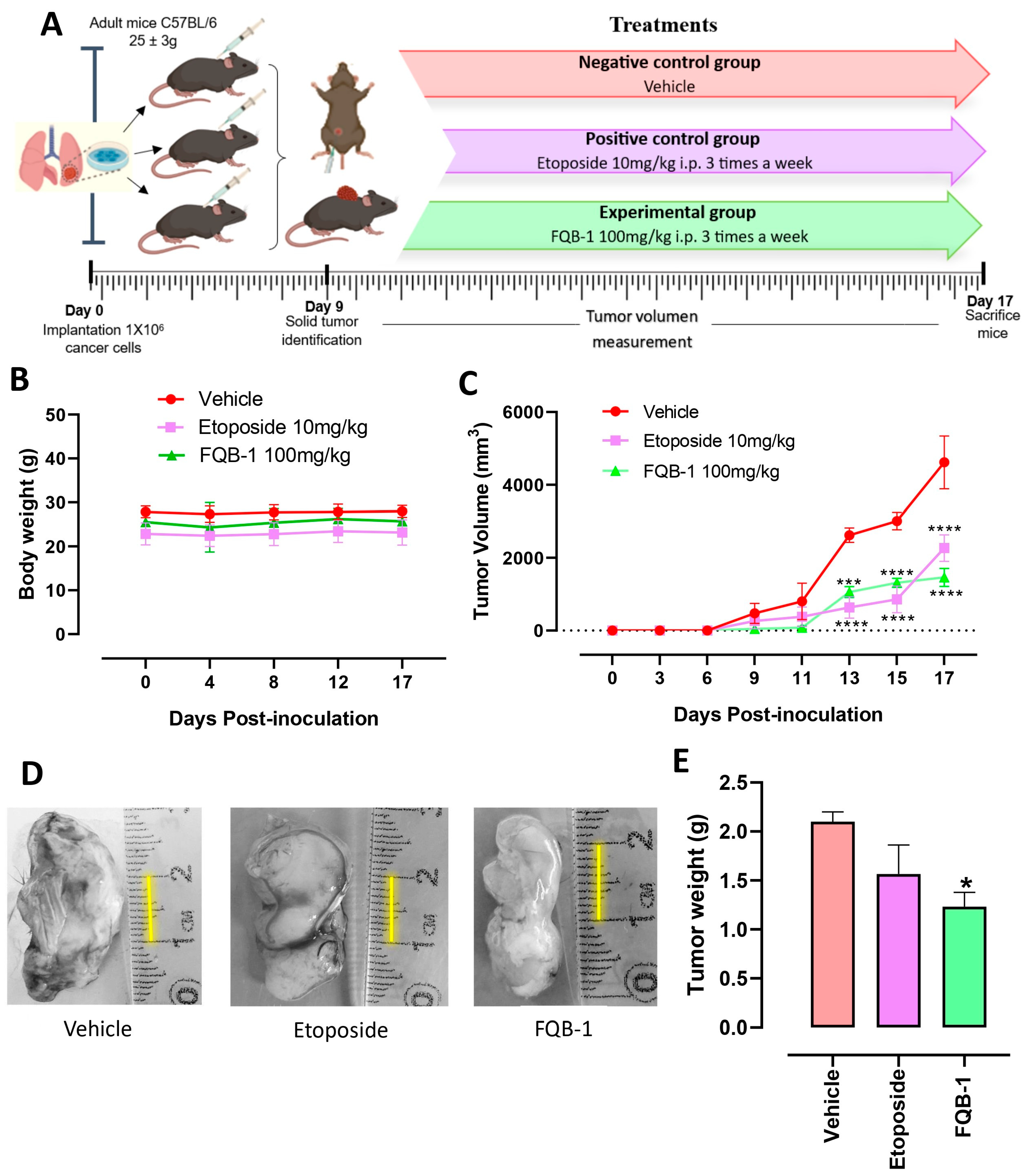 Pharmaceuticals 18 00664 g003