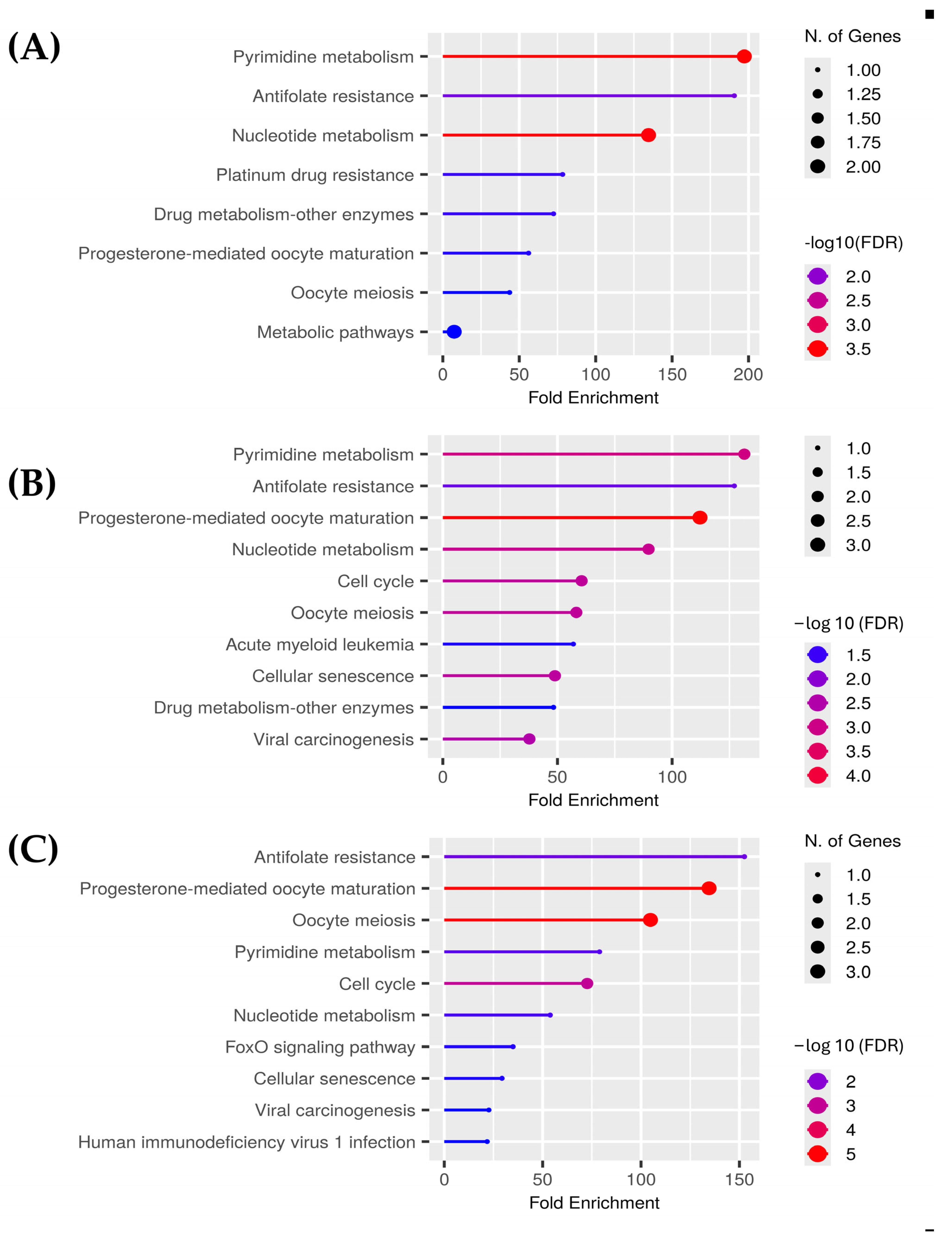 Pharmaceuticals 18 00667 g003