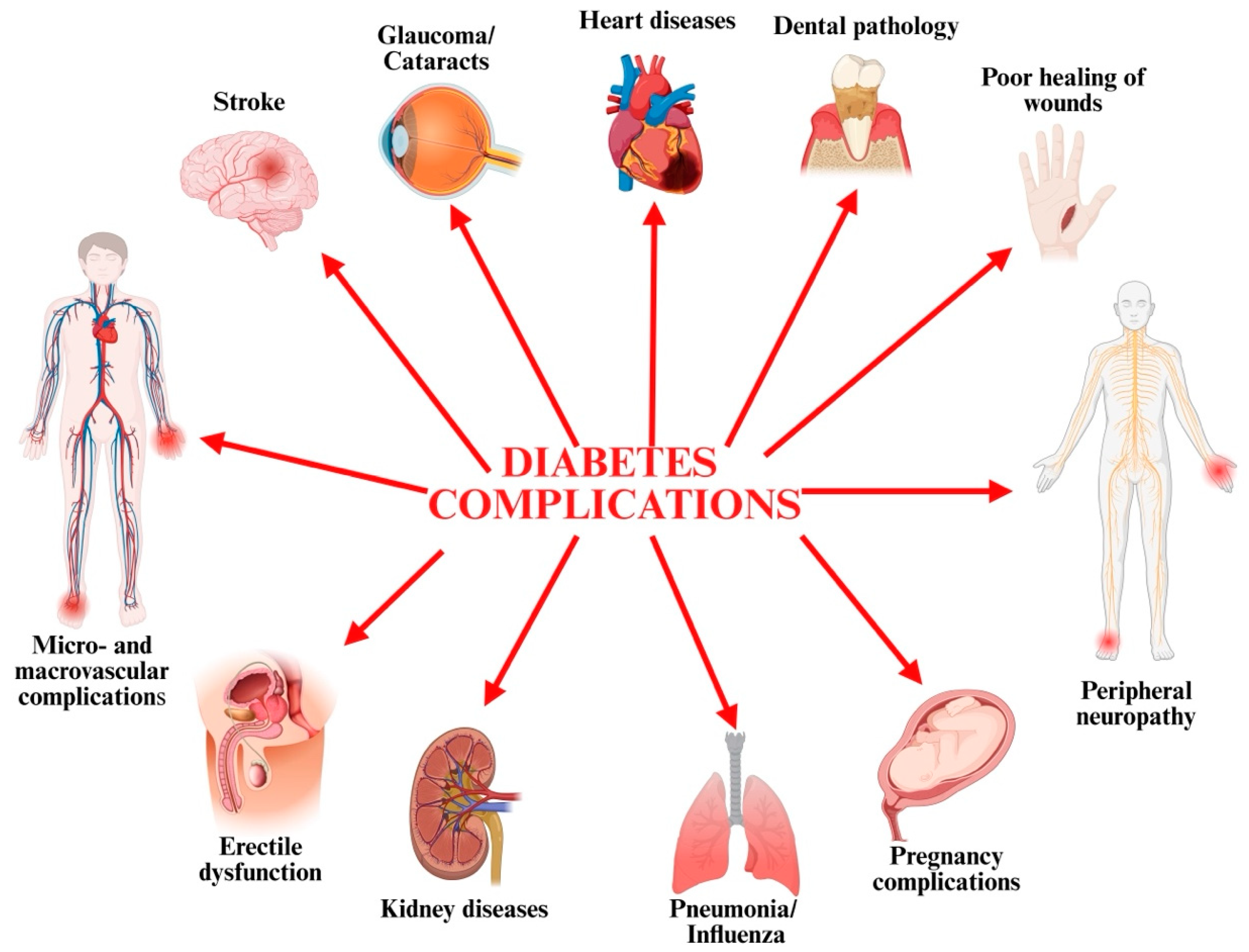 Pharmaceuticals 18 00670 g001