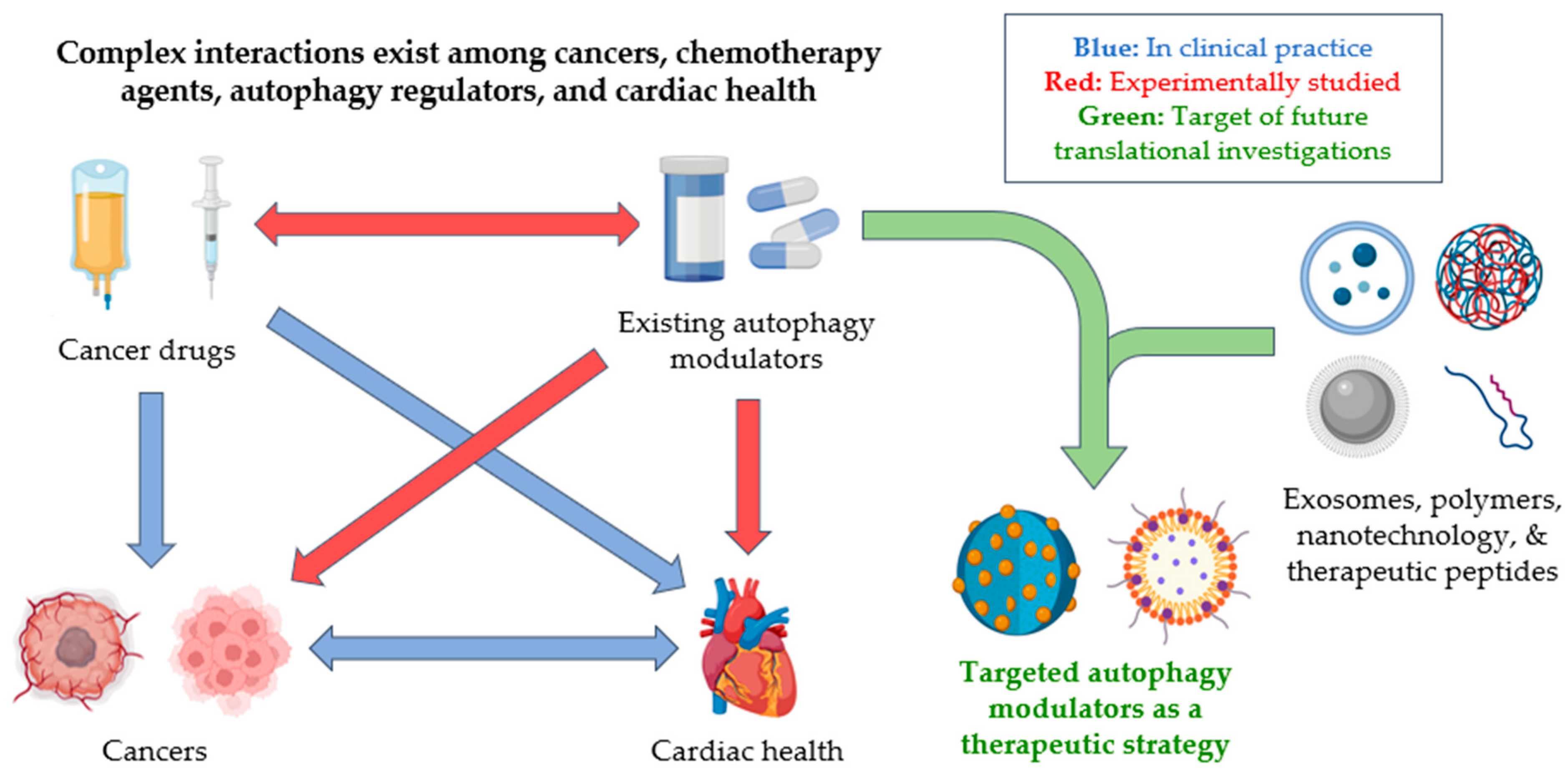 Pharmaceuticals 18 00671 g002