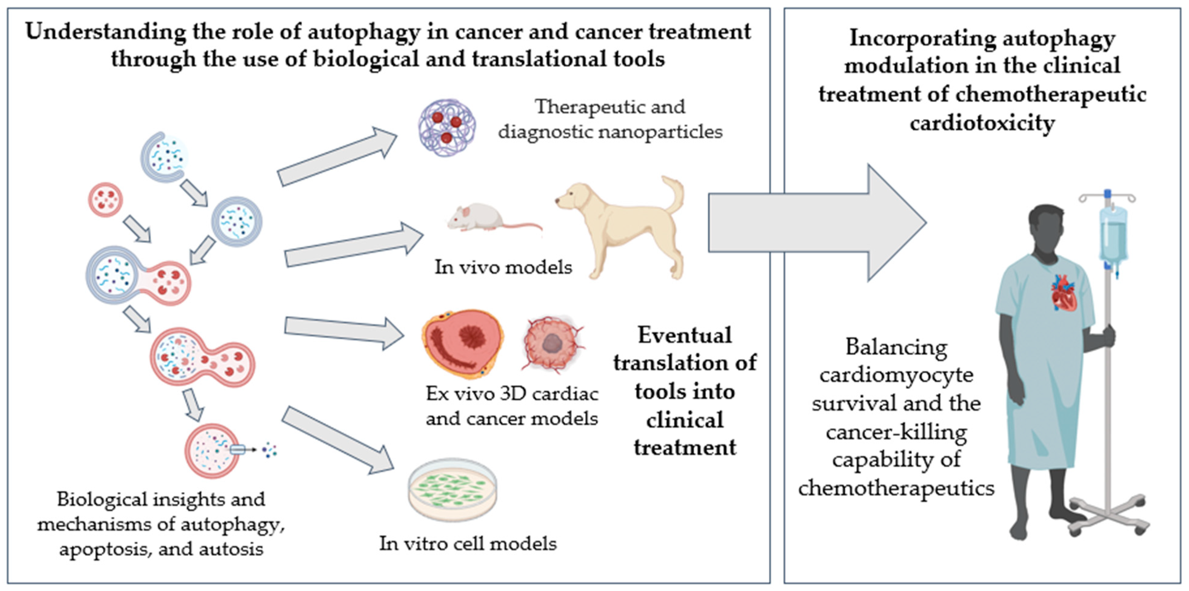 Pharmaceuticals 18 00671 g003