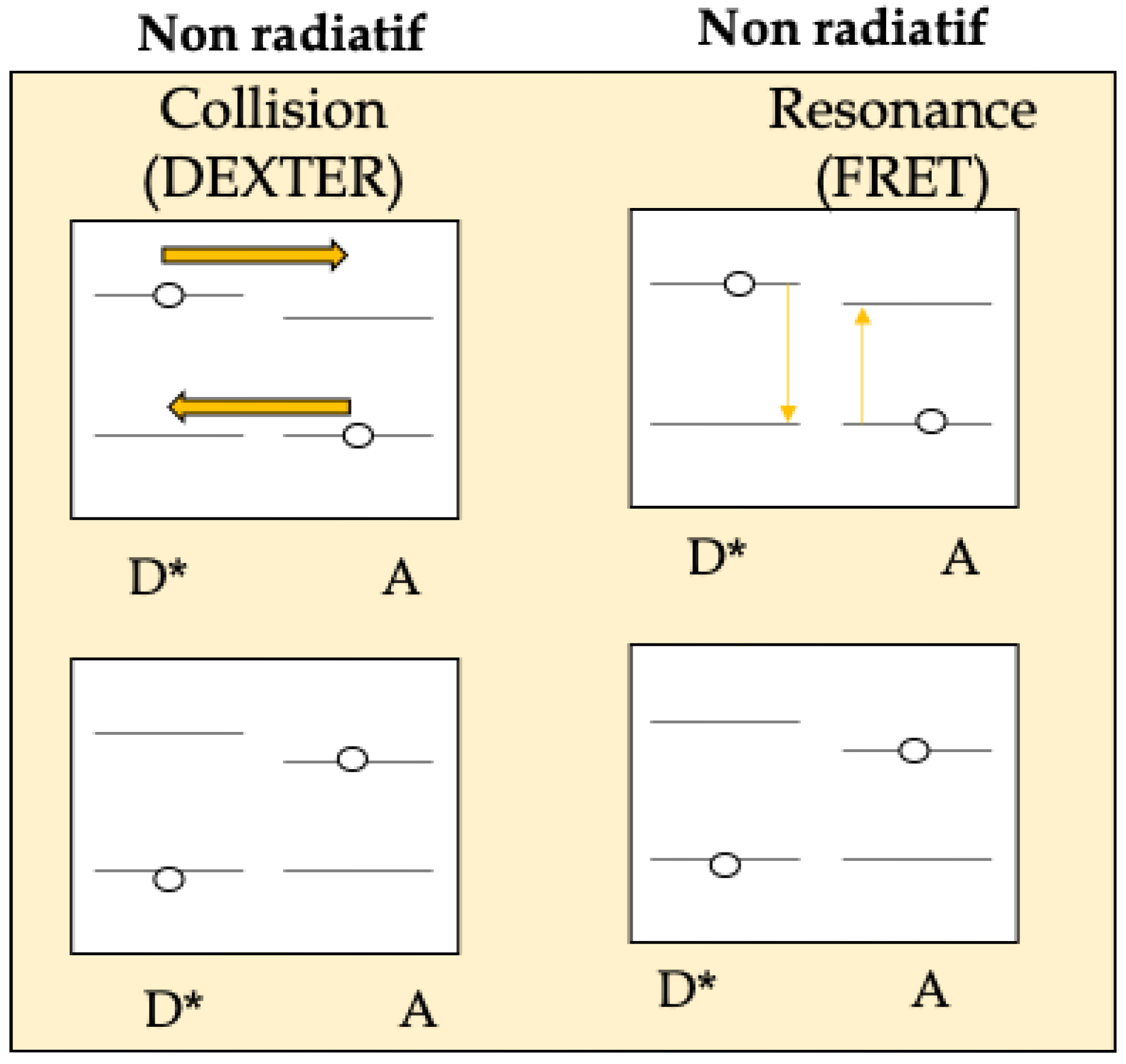 Pharmaceuticals 18 00672 sch001
