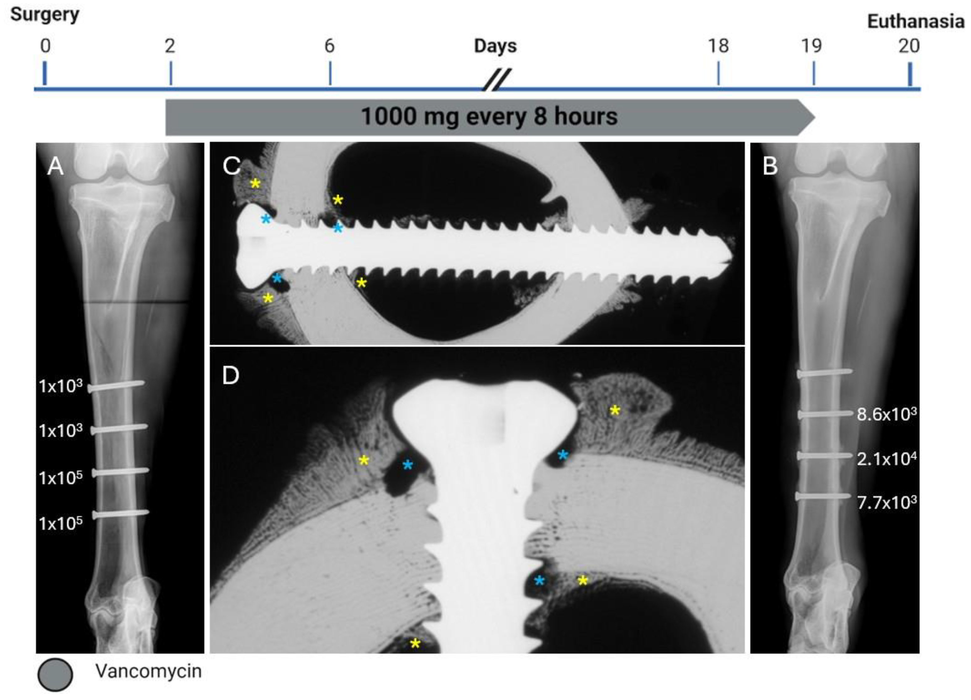 Pharmaceuticals 18 00675 g001