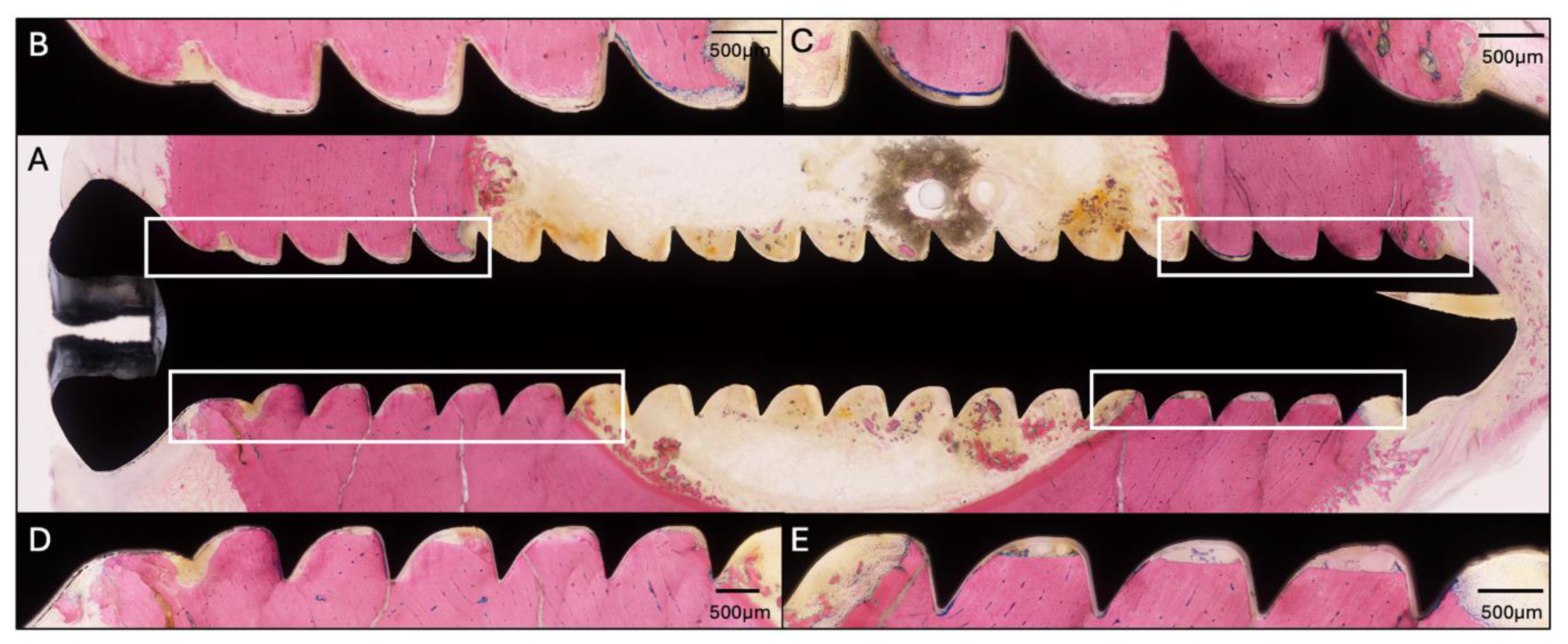 Pharmaceuticals 18 00675 g008
