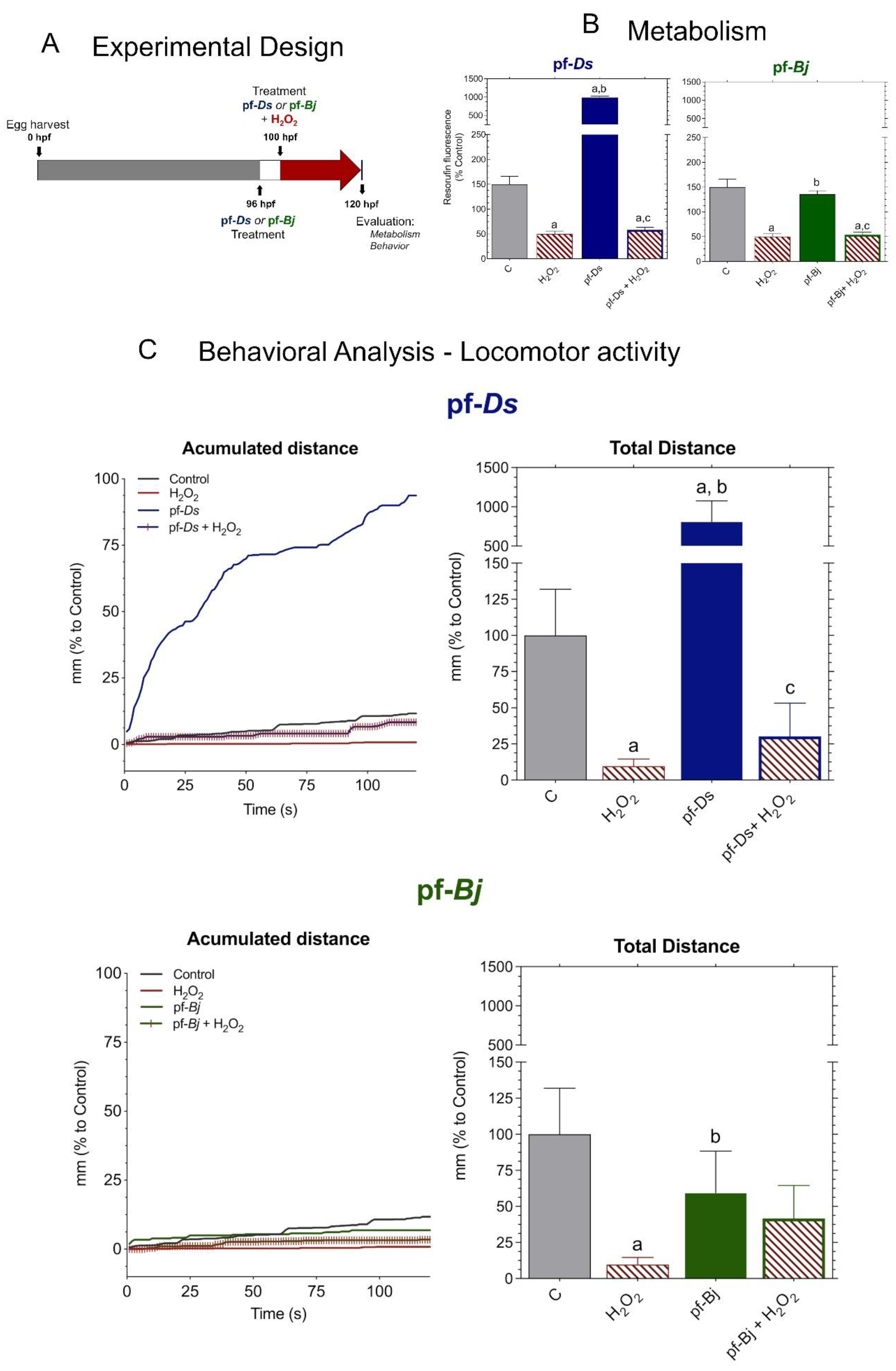Pharmaceuticals 18 00678 g004