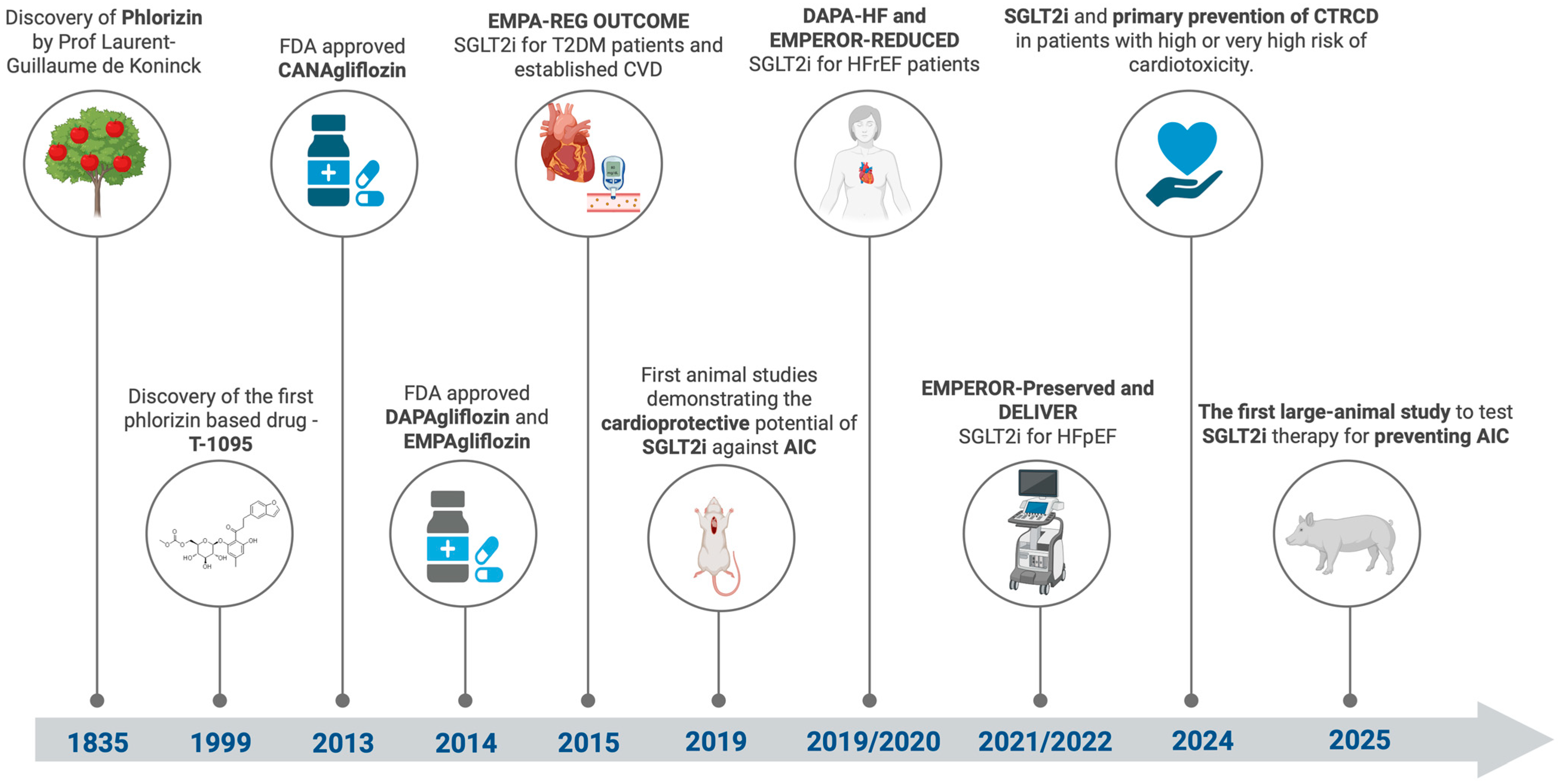 Pharmaceuticals 18 00681 g003
