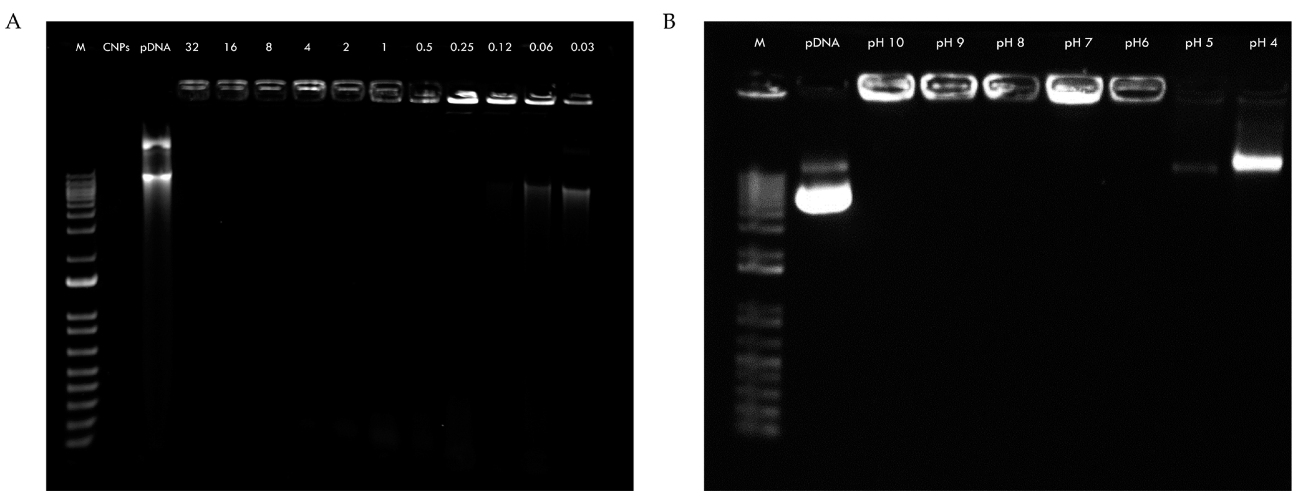 Pharmaceuticals 18 00683 g003