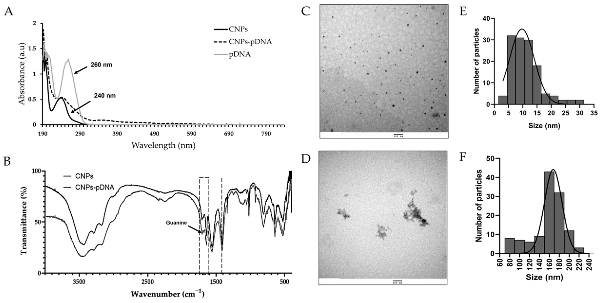 Pharmaceuticals 18 00683 g006