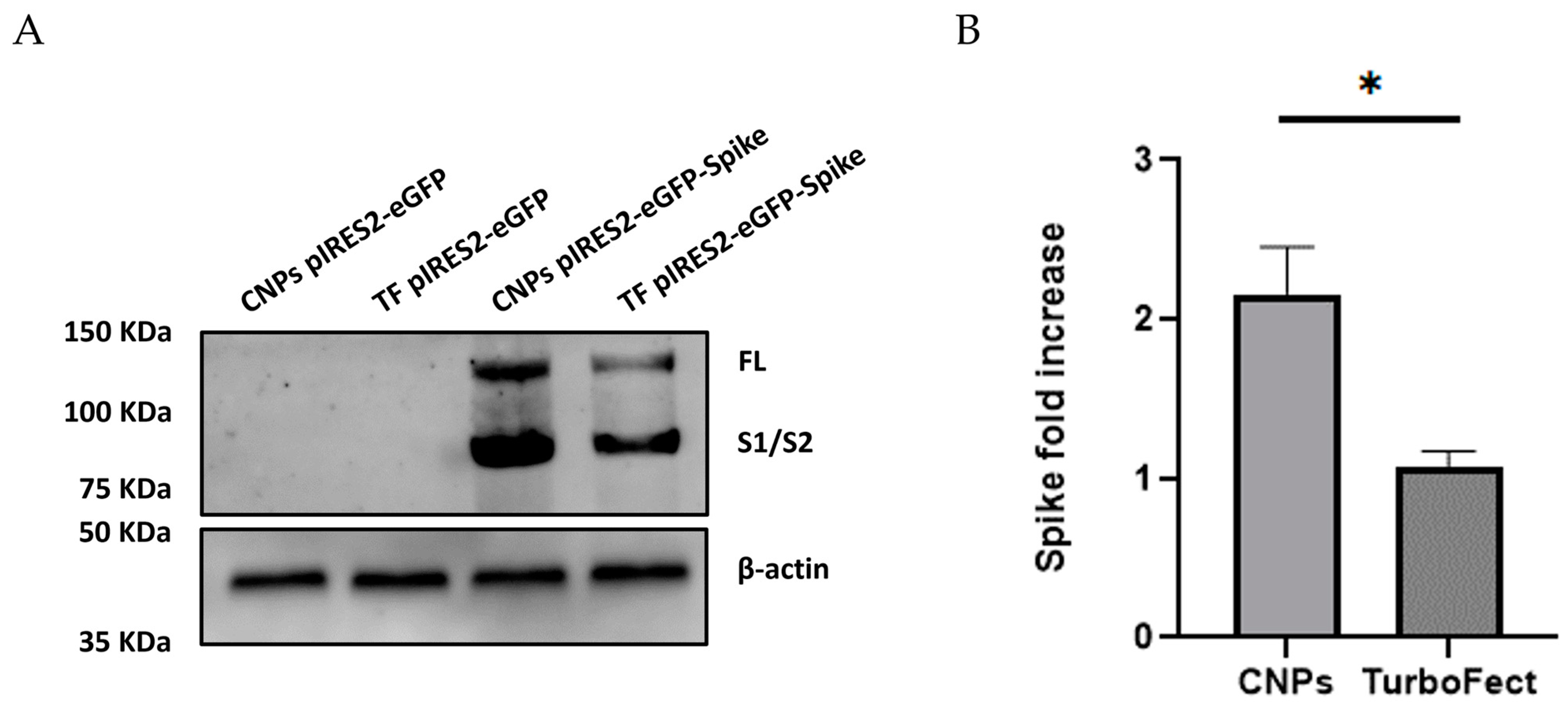 Pharmaceuticals 18 00683 g009