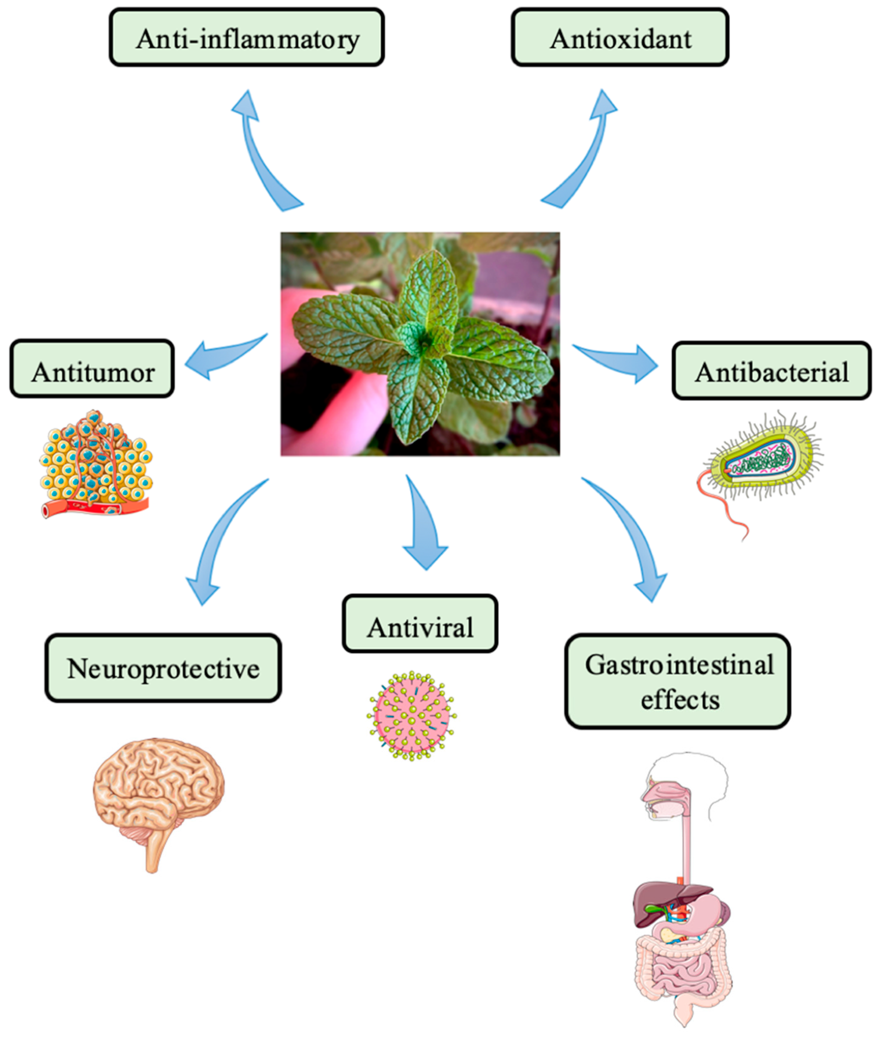 Pharmaceuticals 18 00693 g002