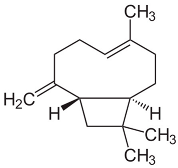 Pharmaceuticals 18 00693 i002
