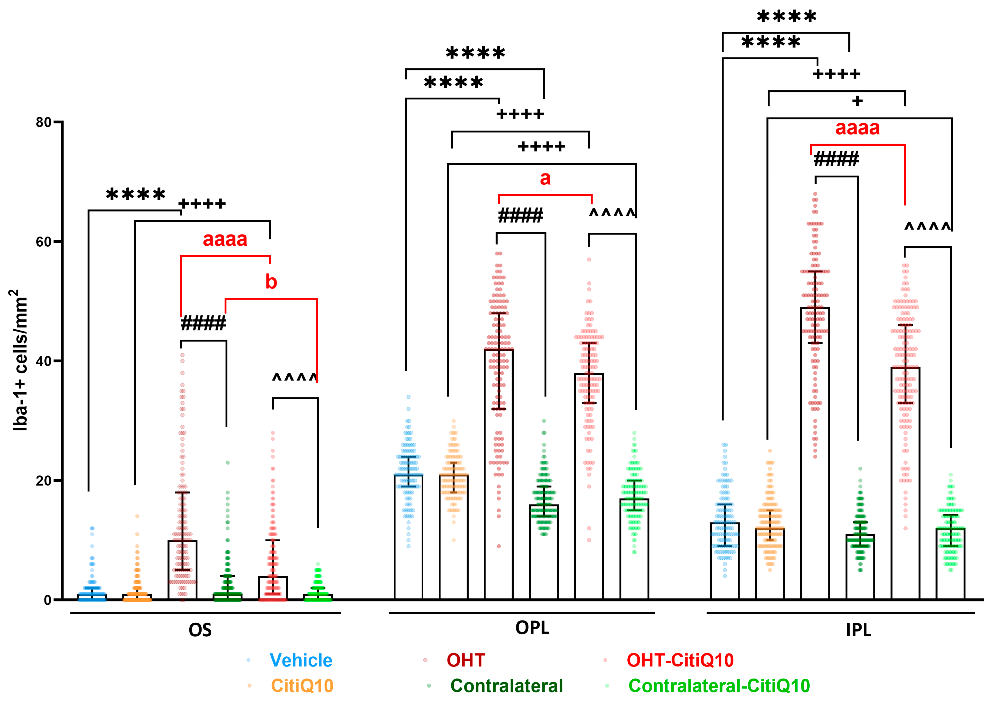 Pharmaceuticals 18 00694 g003