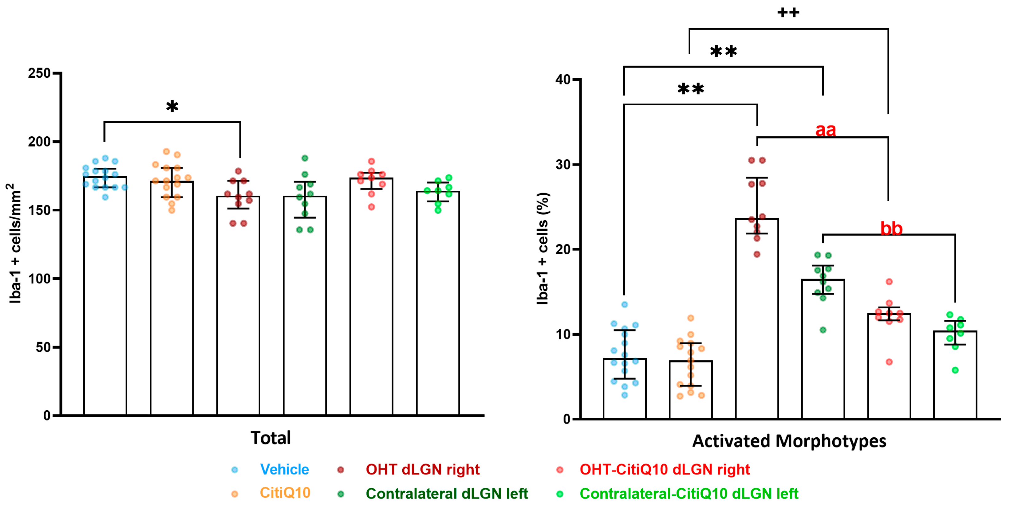 Pharmaceuticals 18 00694 g013