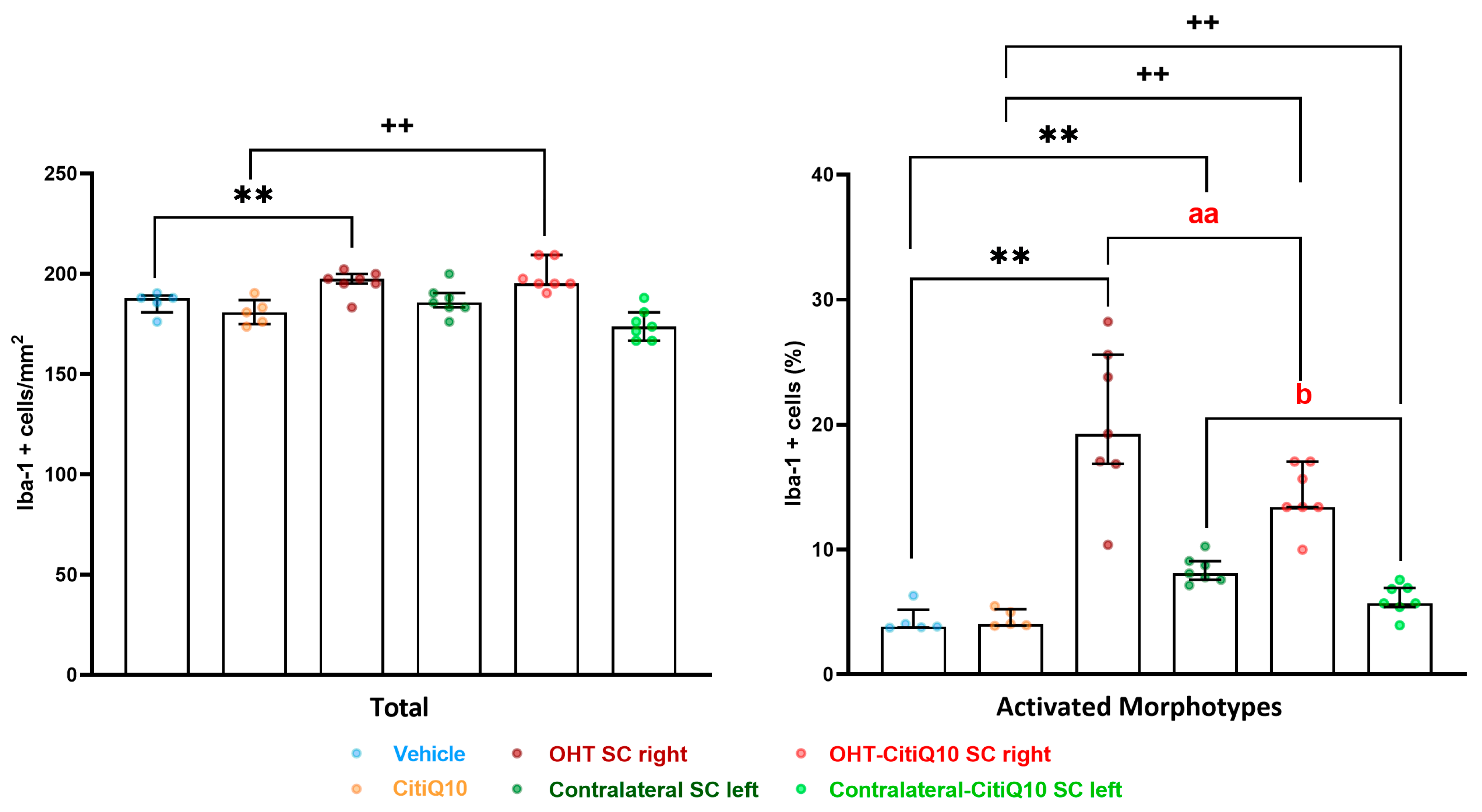 Pharmaceuticals 18 00694 g017