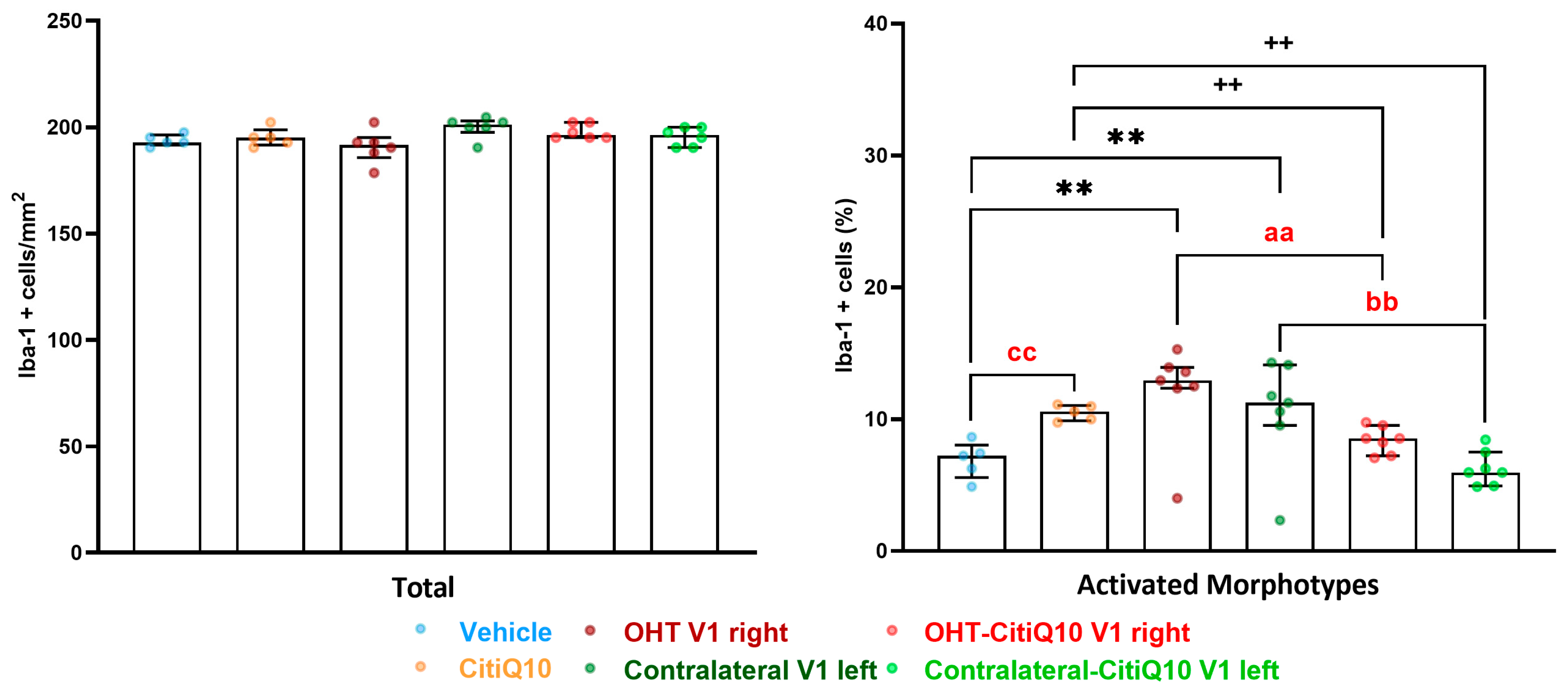 Pharmaceuticals 18 00694 g021