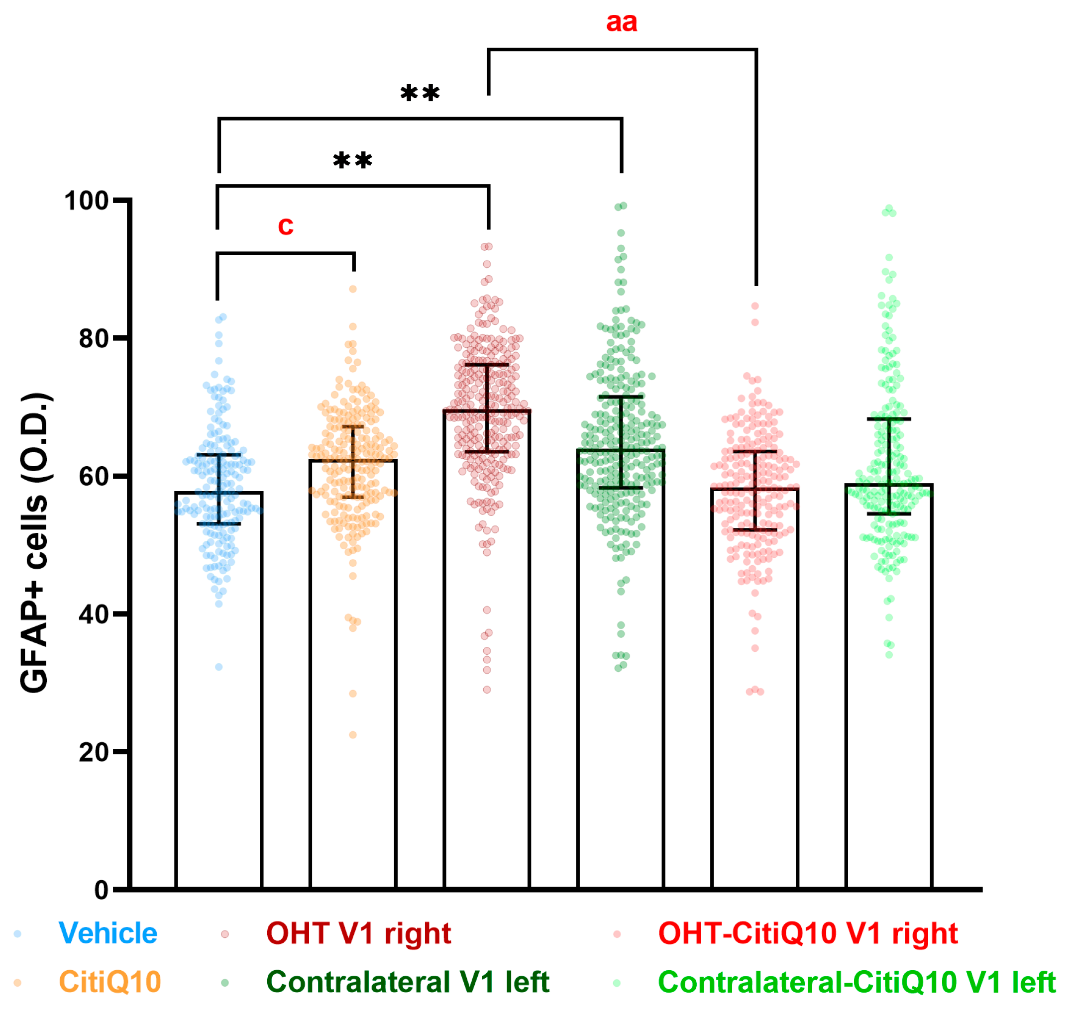 Pharmaceuticals 18 00694 g023