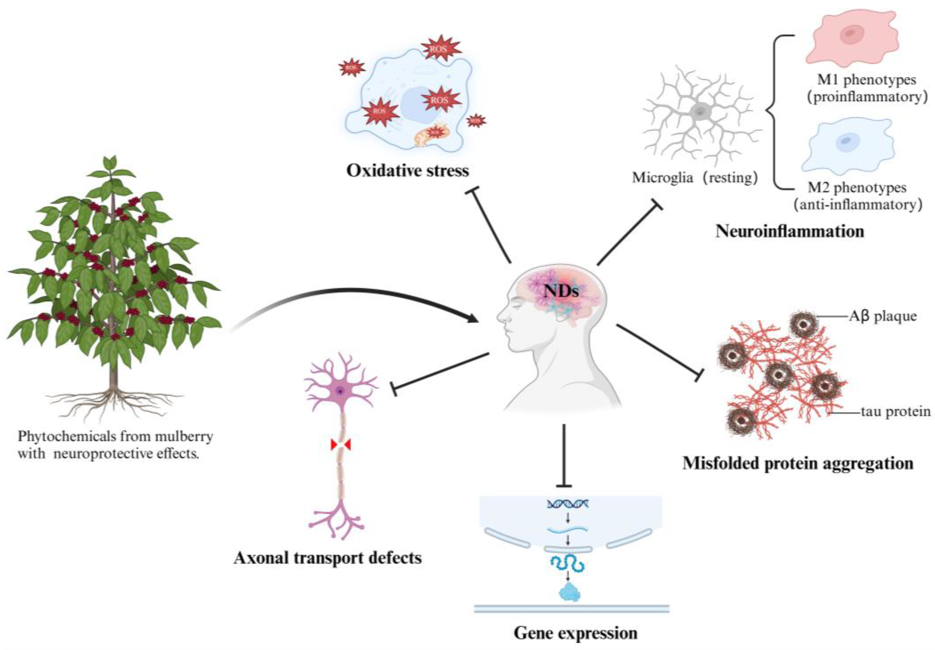 Pharmaceuticals 18 00695 g001 Pharmaceuticals 18 00695 g001
