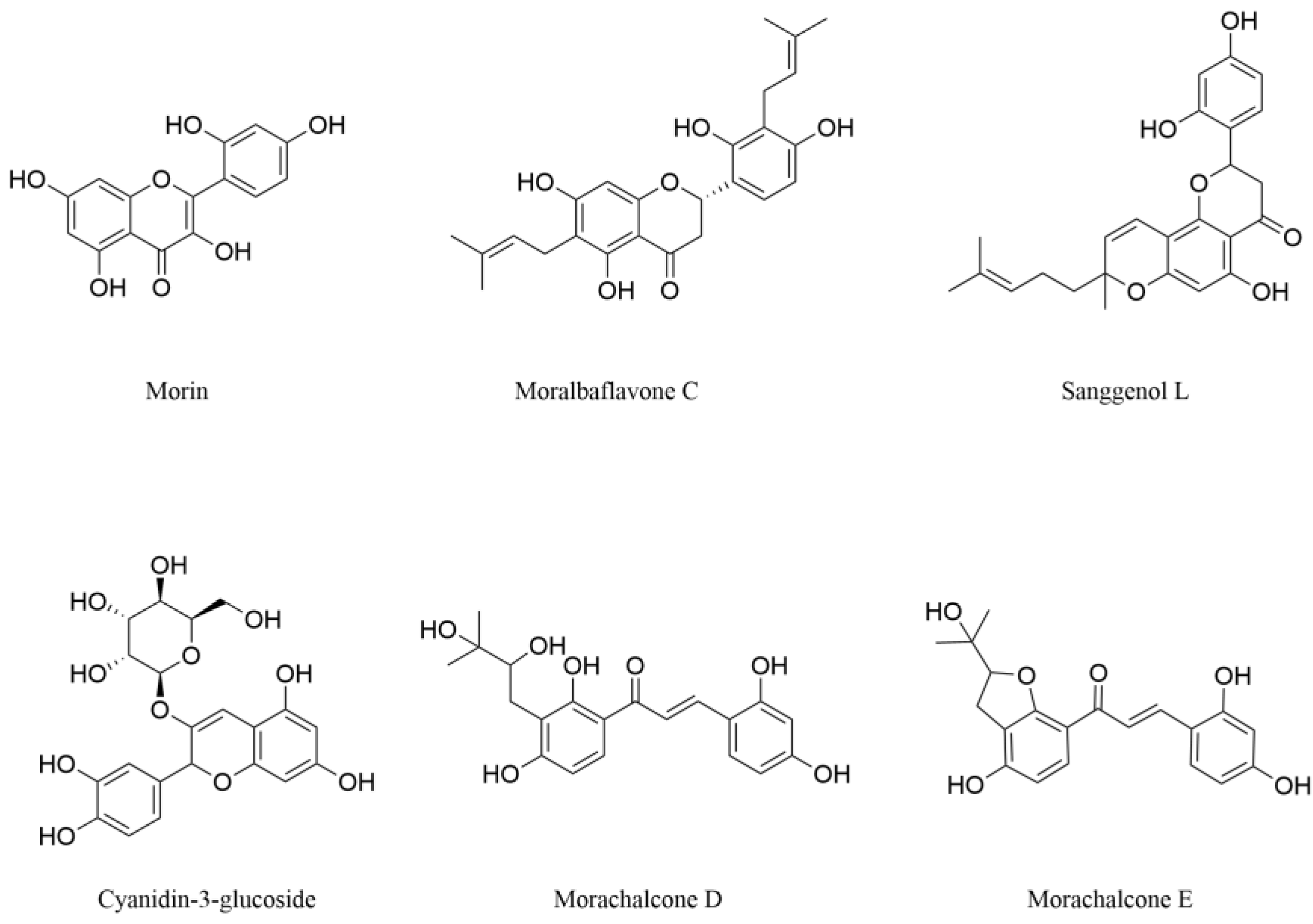 Pharmaceuticals 18 00695 g003 Pharmaceuticals 18 00695 g003