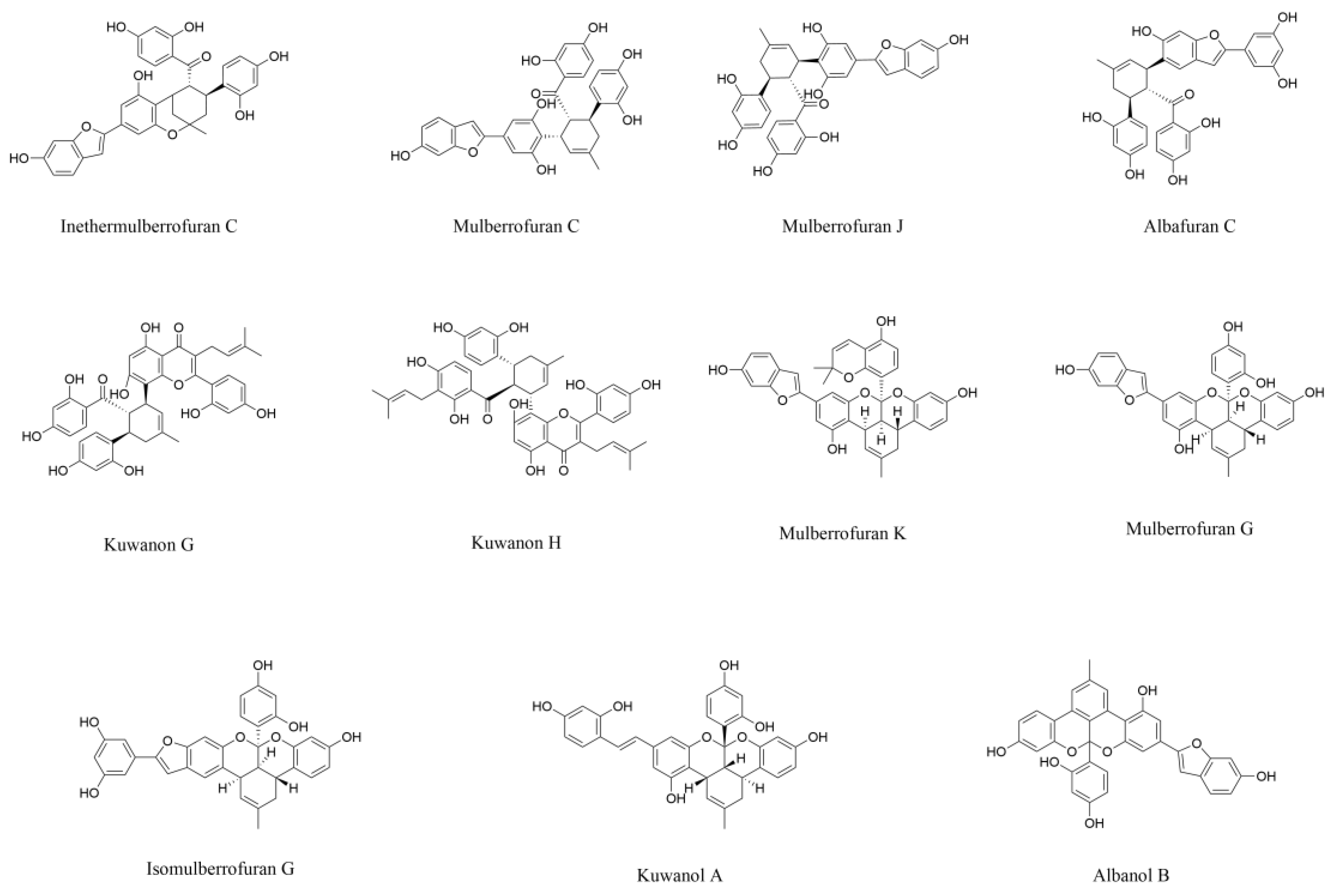 Pharmaceuticals 18 00695 g004 Pharmaceuticals 18 00695 g004