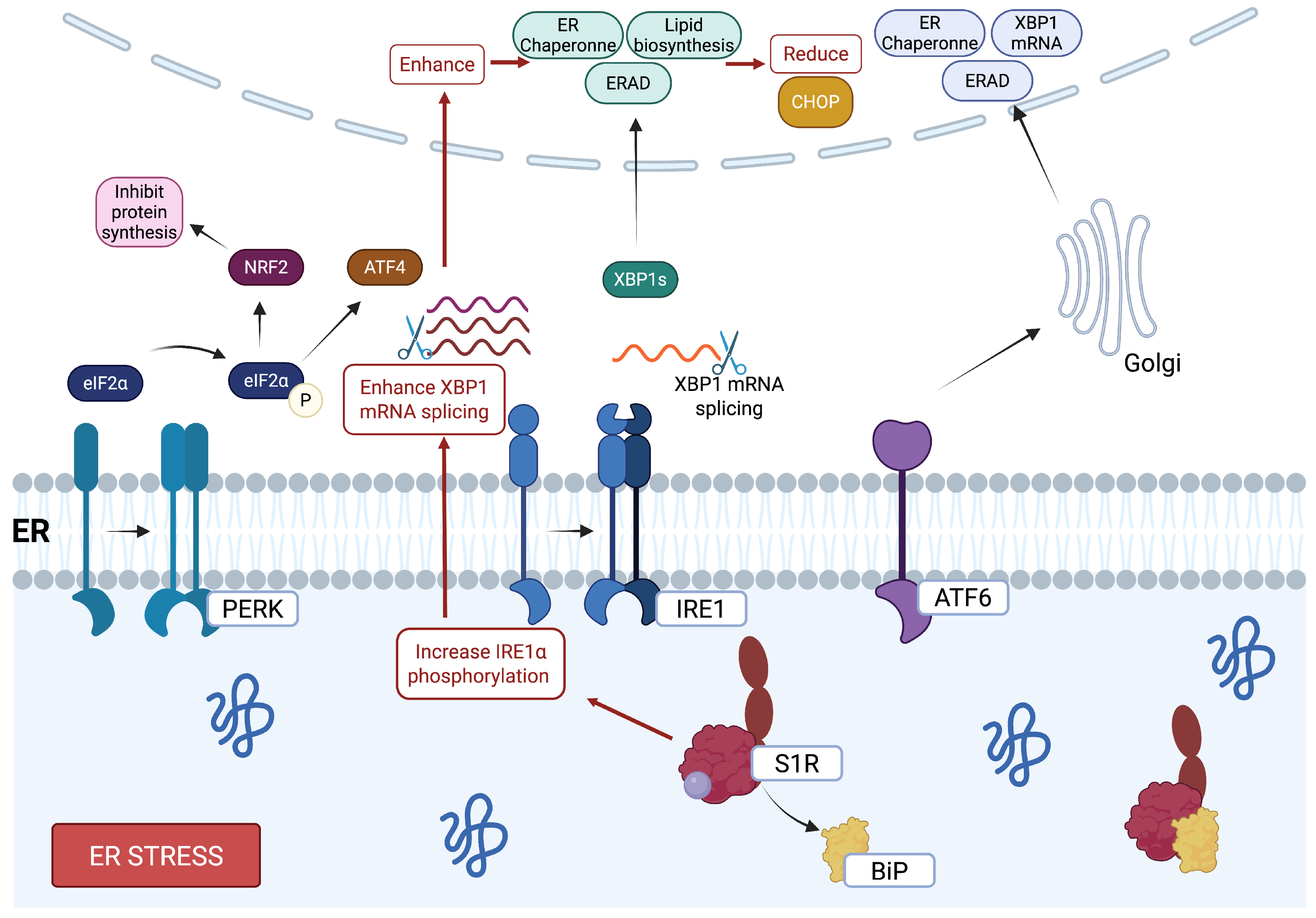 Pharmaceuticals 18 00700 g002 Pharmaceuticals 18 00700 g002
