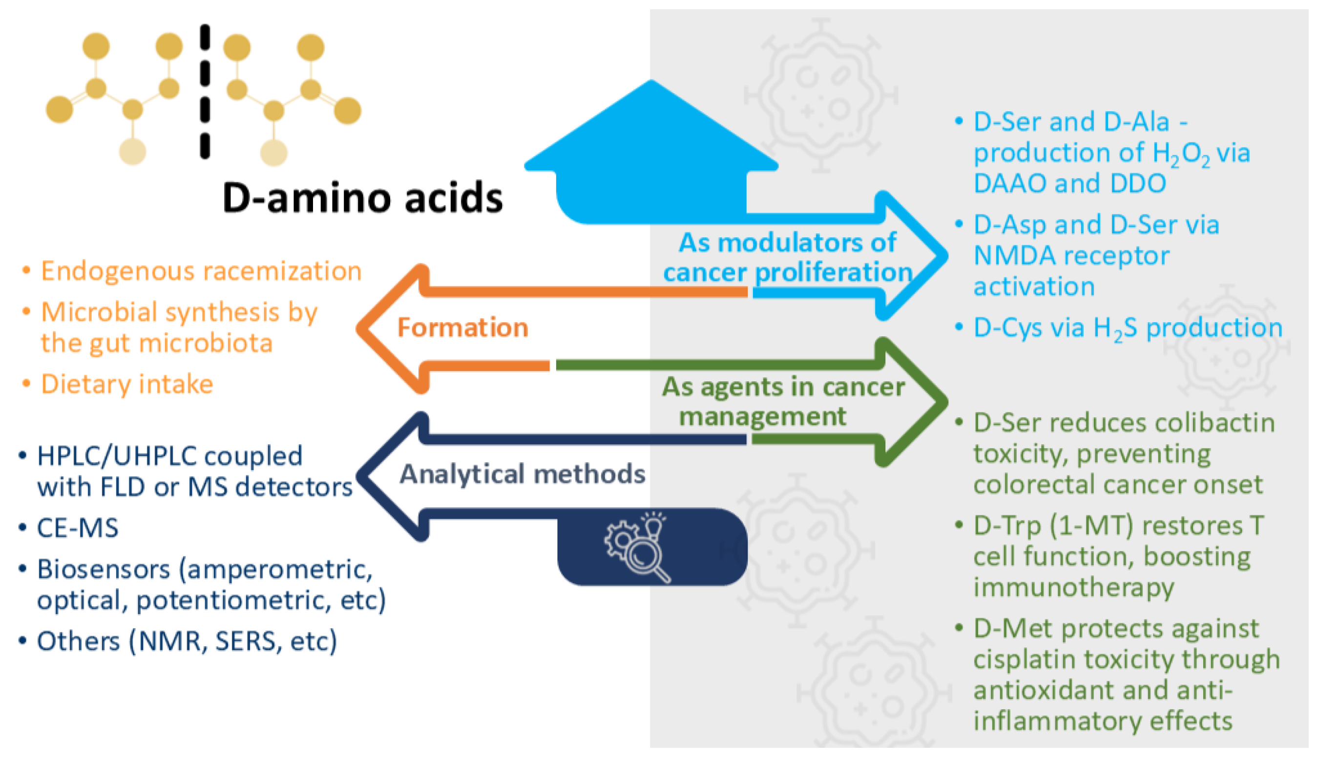 Pharmaceuticals 18 00705 g001
