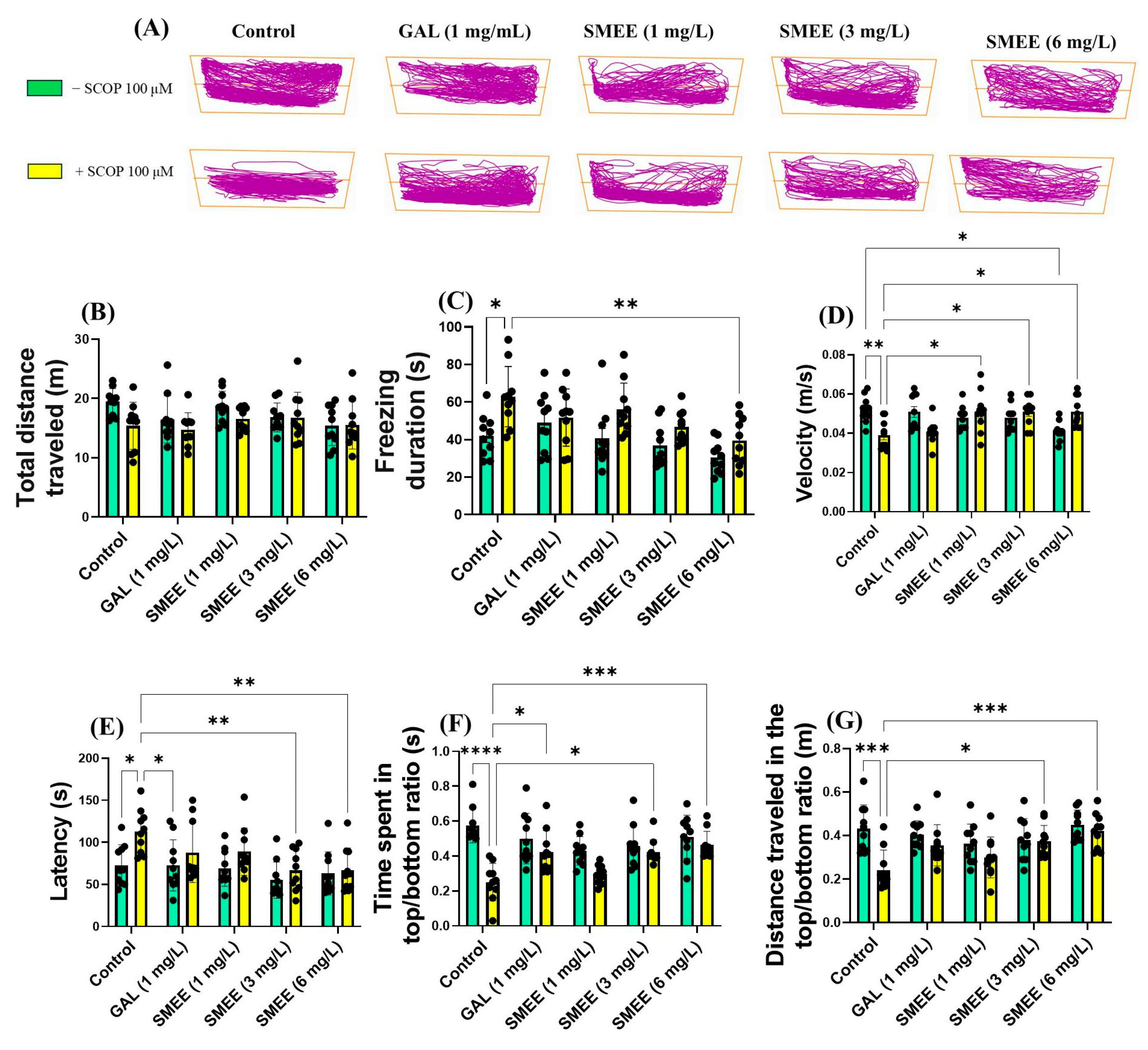 Pharmaceuticals 18 00706 g003
