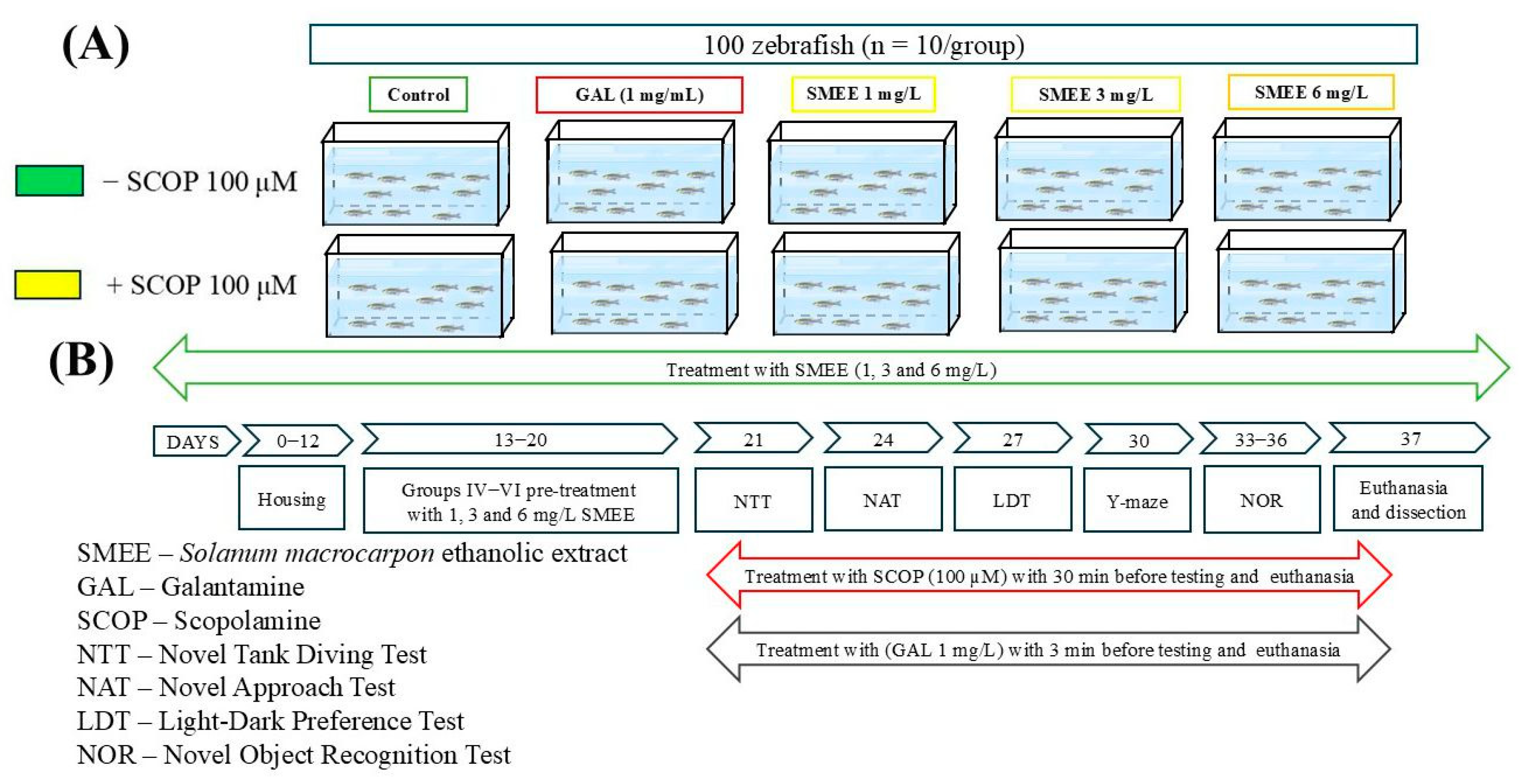 Pharmaceuticals 18 00706 g011