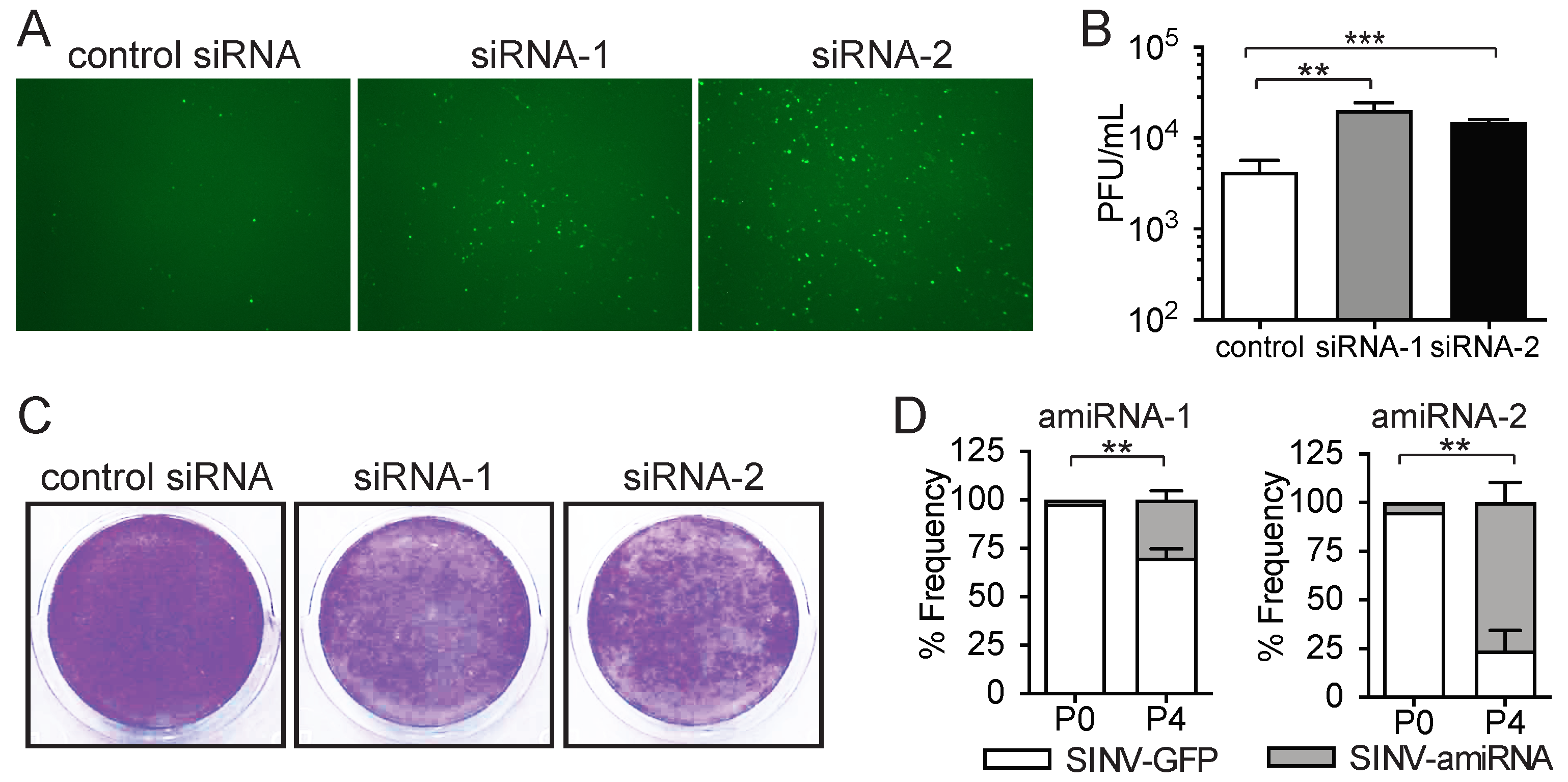 Pharmaceuticals 18 00708 g002