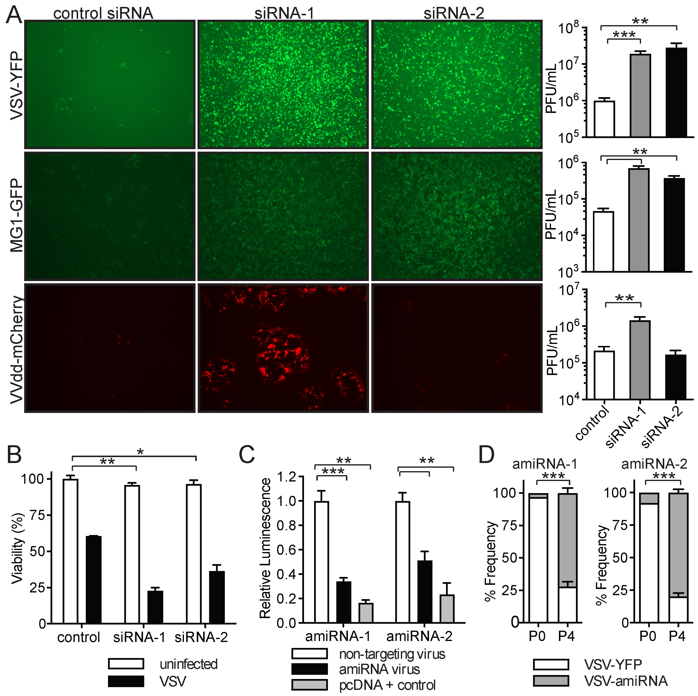 Pharmaceuticals 18 00708 g003