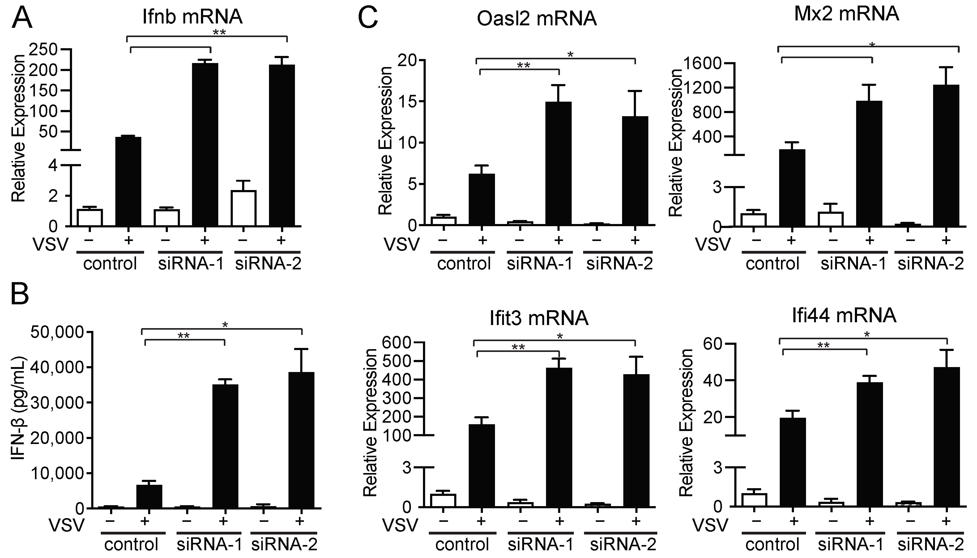 Pharmaceuticals 18 00708 g004