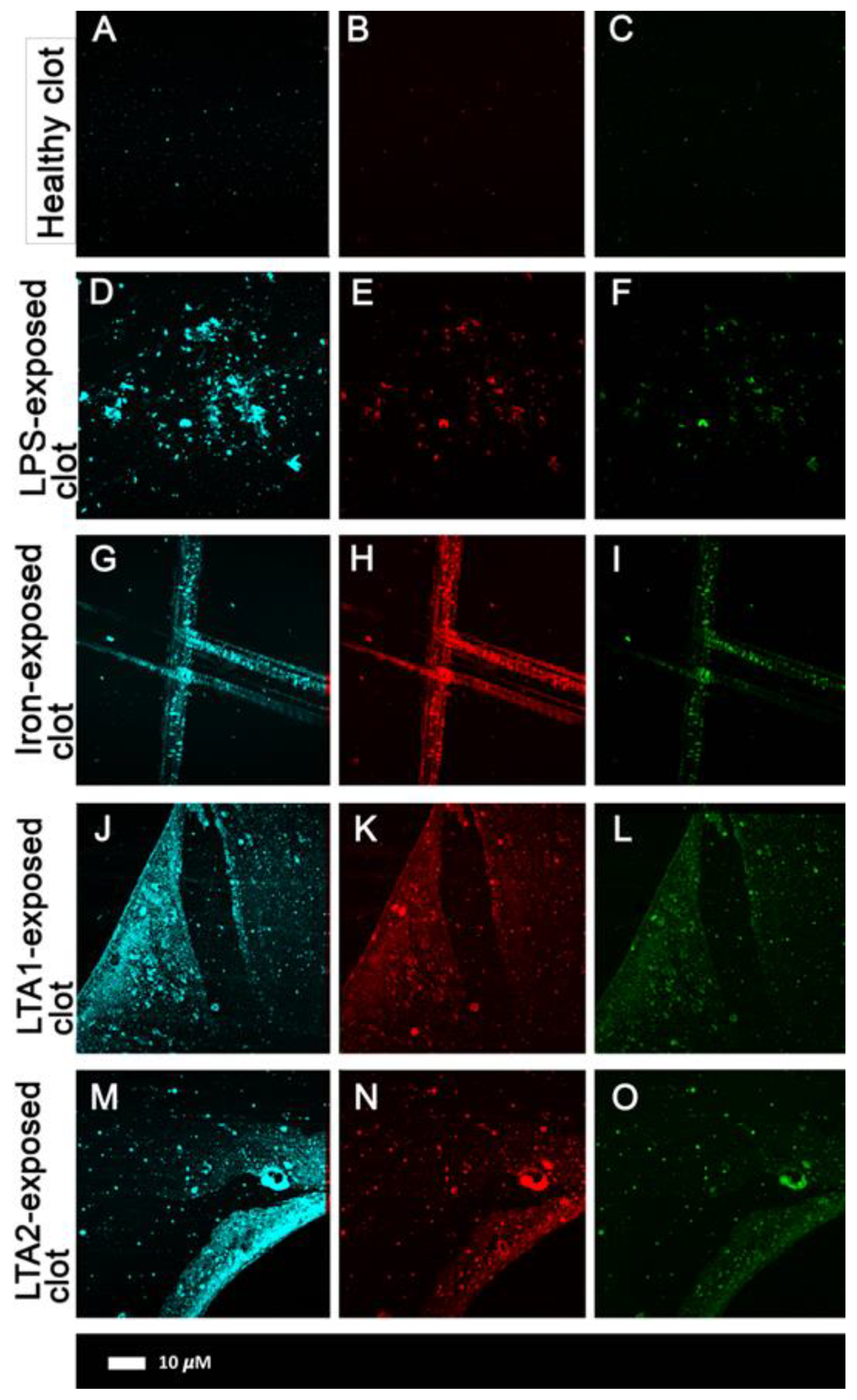 Pharmaceuticals 18 00712 g002 Pharmaceuticals 18 00712 g002