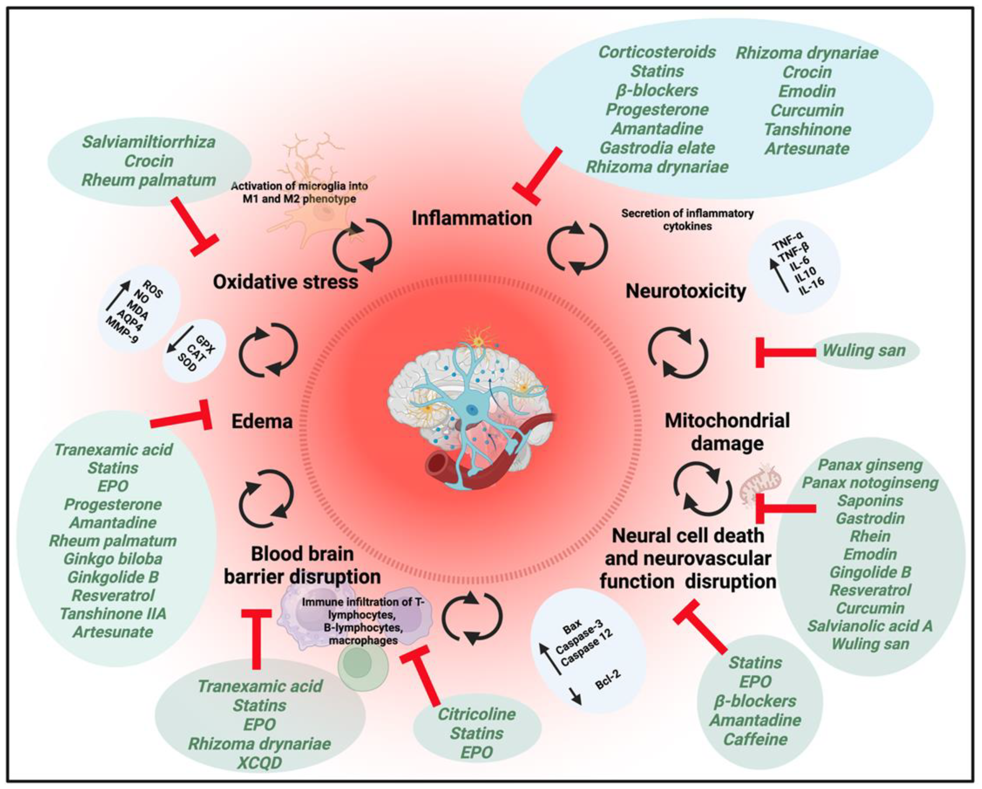 Pharmaceuticals 18 00712 g004 Pharmaceuticals 18 00712 g004