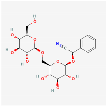 Pharmaceuticals 18 00712 i002 Pharmaceuticals 18 00712 i002