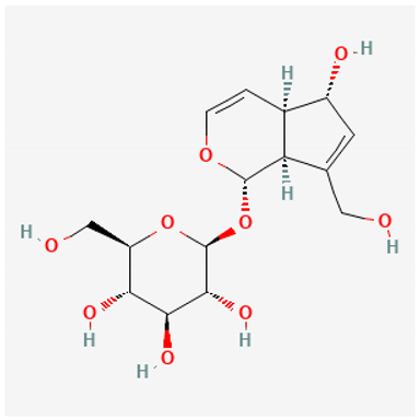Pharmaceuticals 18 00712 i003 Pharmaceuticals 18 00712 i003