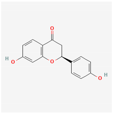 Pharmaceuticals 18 00712 i010 Pharmaceuticals 18 00712 i010