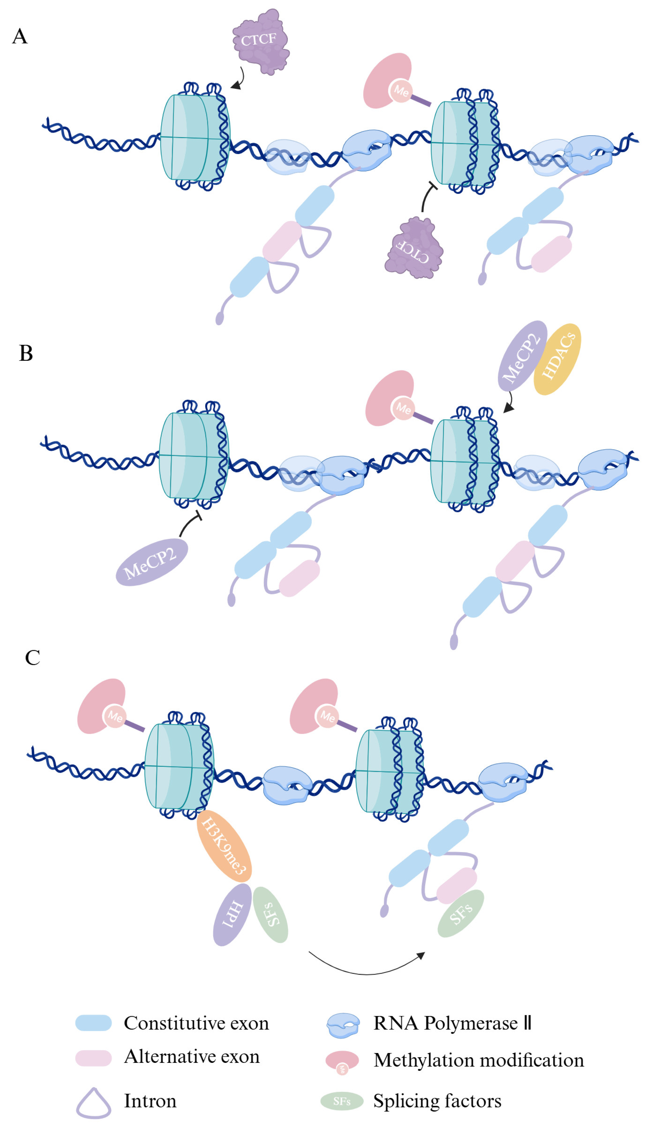 Pharmaceuticals 18 00713 g003 Pharmaceuticals 18 00713 g003