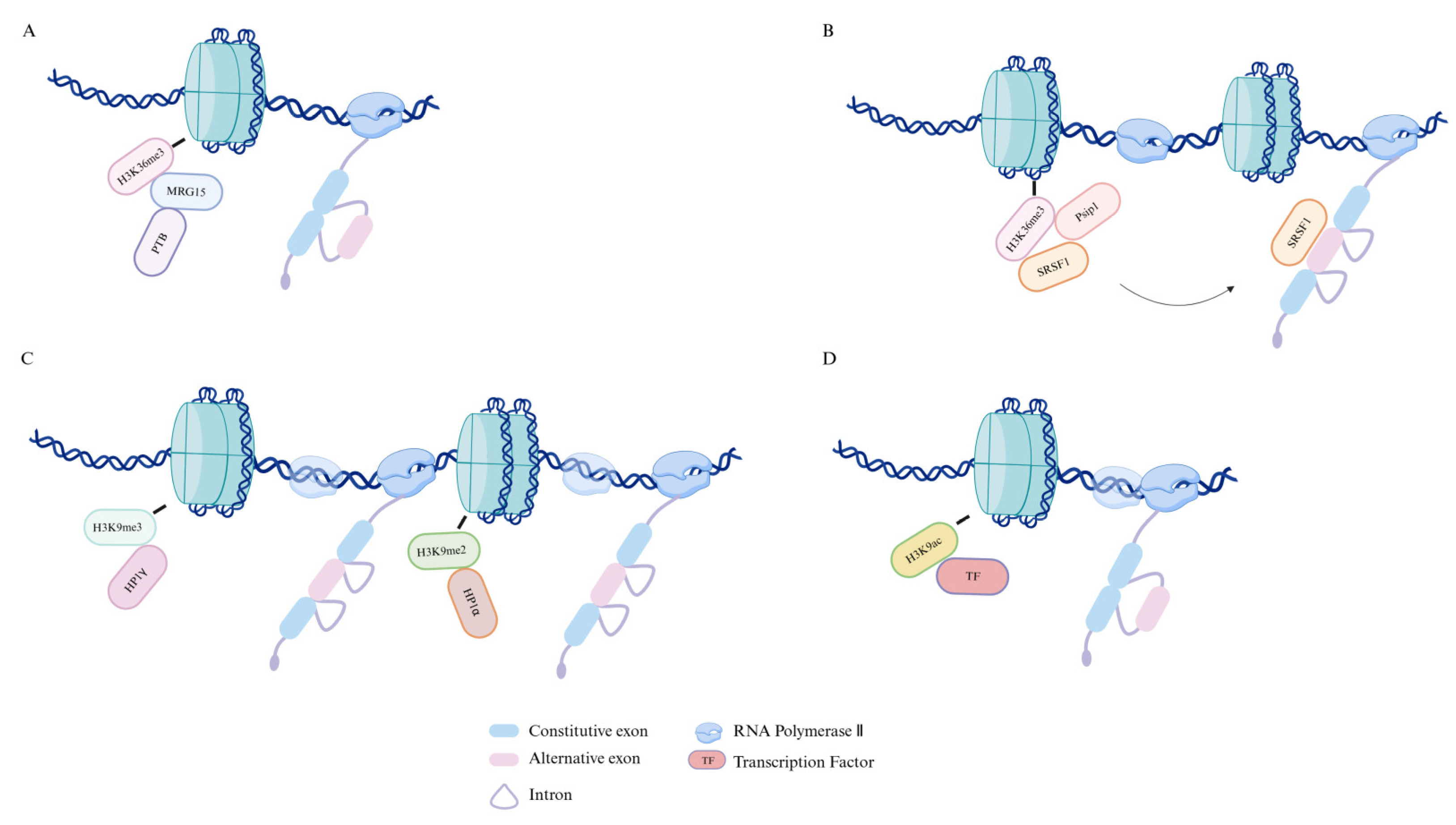 Pharmaceuticals 18 00713 g004 Pharmaceuticals 18 00713 g004