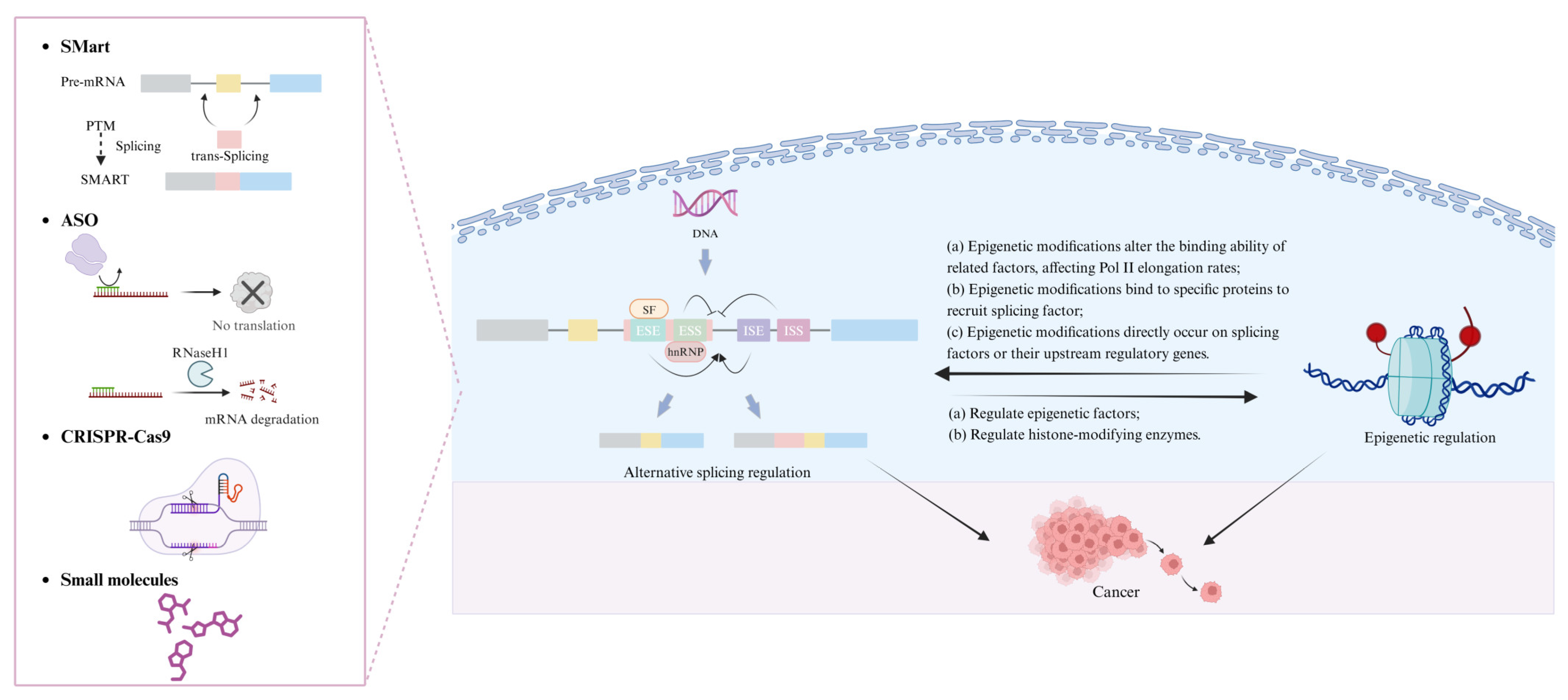 Pharmaceuticals 18 00713 g005 Pharmaceuticals 18 00713 g005