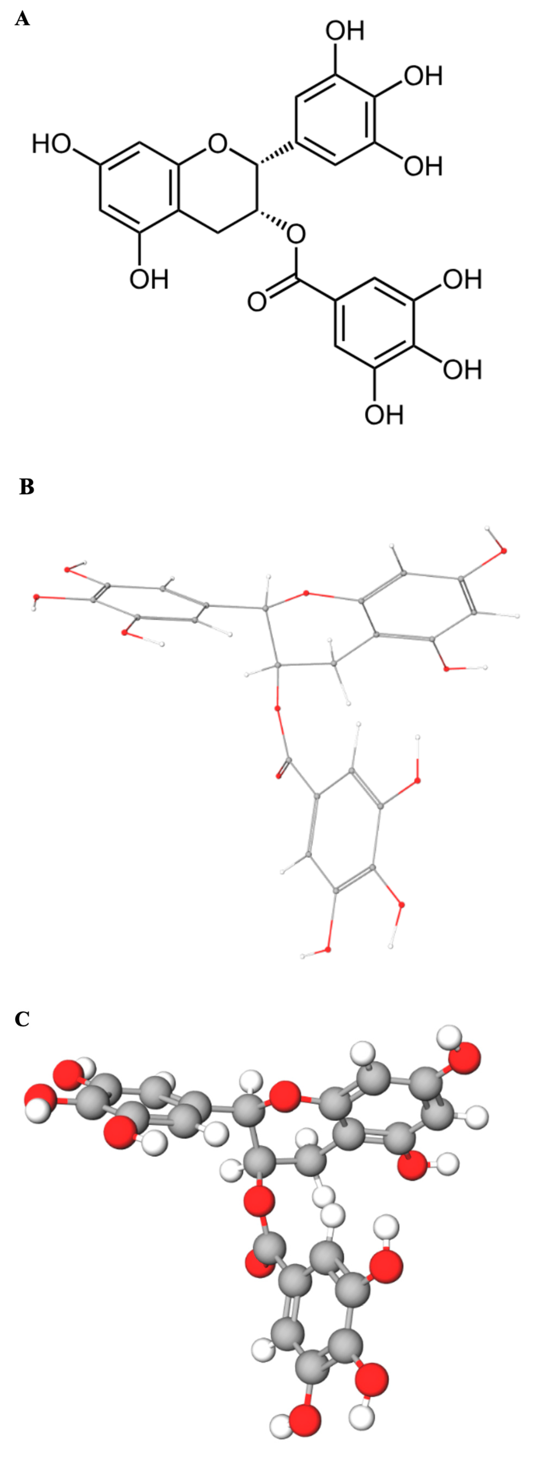 Pharmaceuticals 18 00719 g001