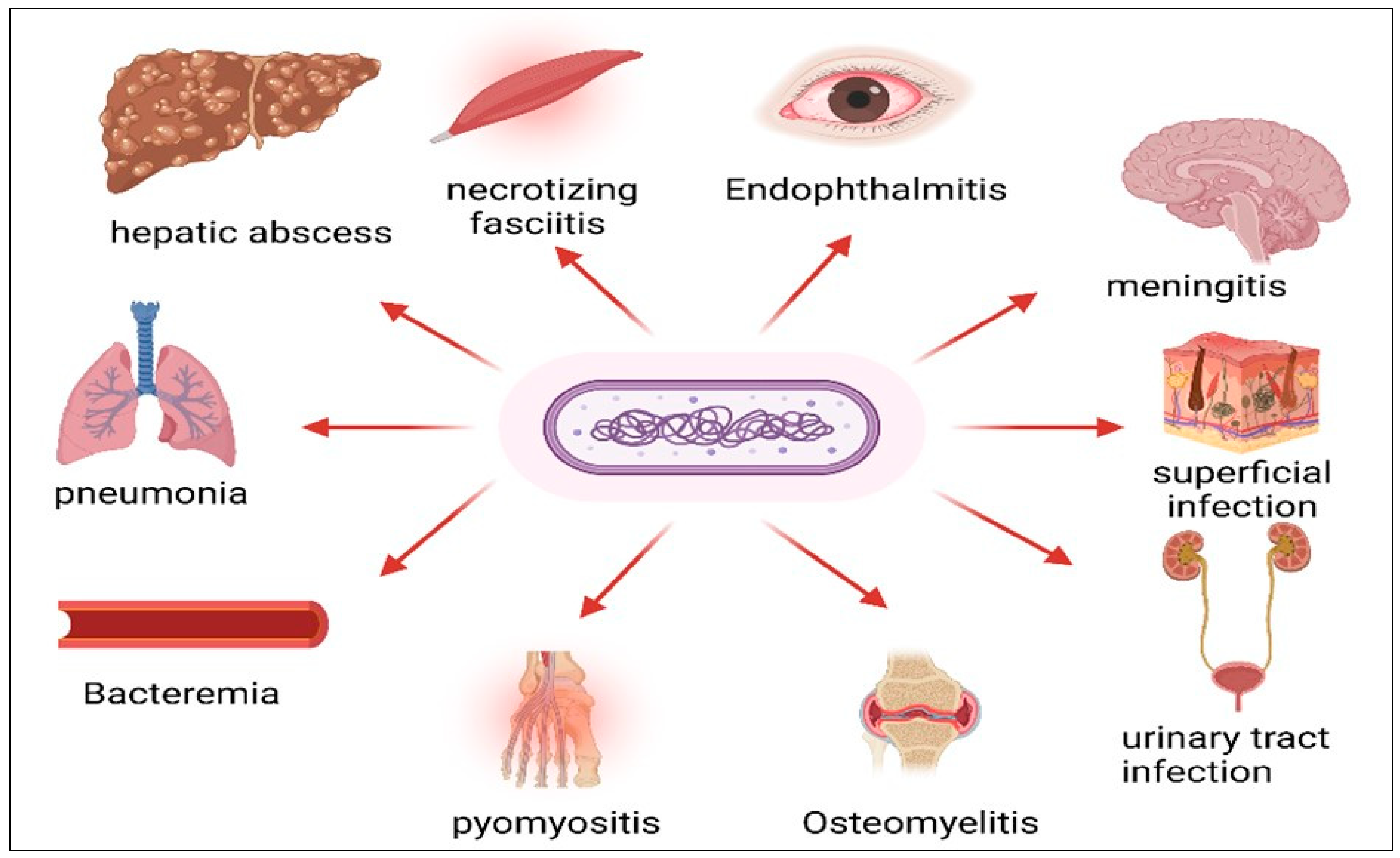 Pharmaceuticals 18 00724 g001