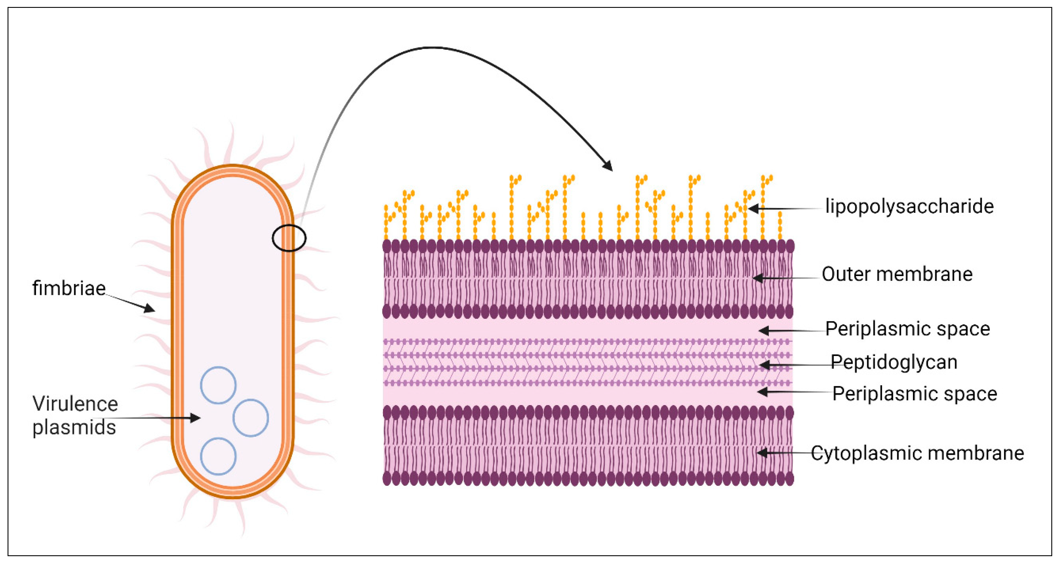 Pharmaceuticals 18 00724 g002